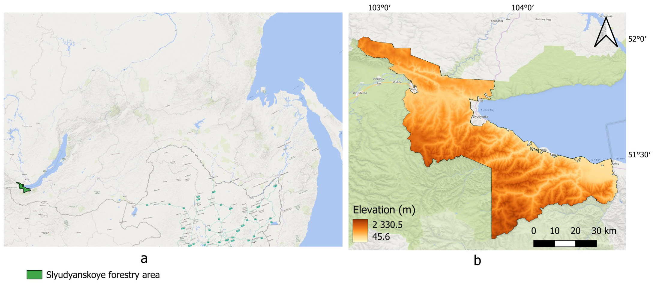 Forests 16 00487 g001