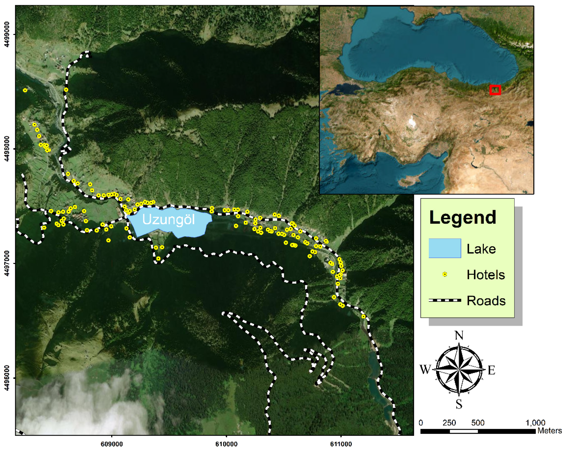 Forests 16 00503 g001