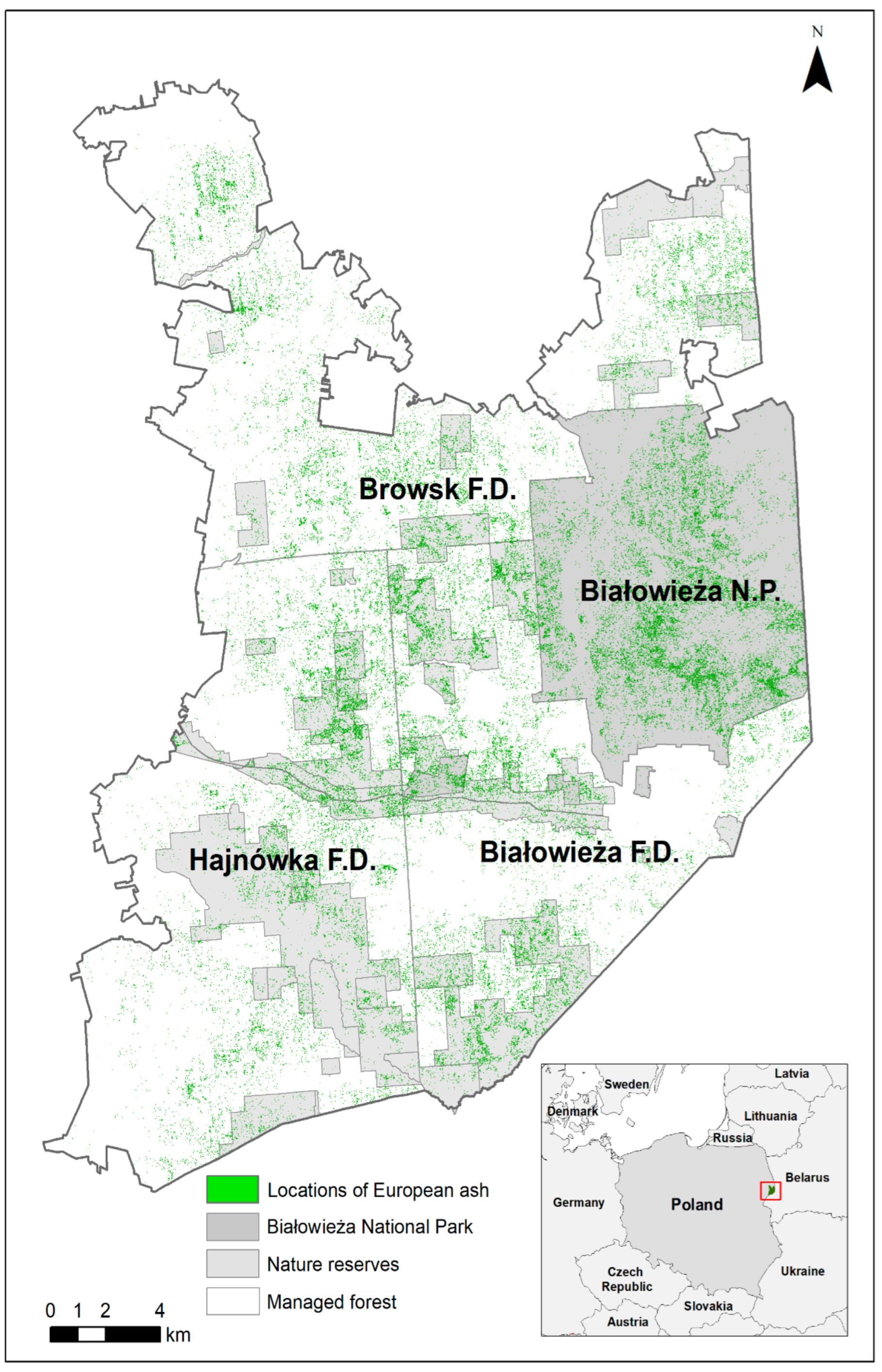 Forests 16 00506 g001