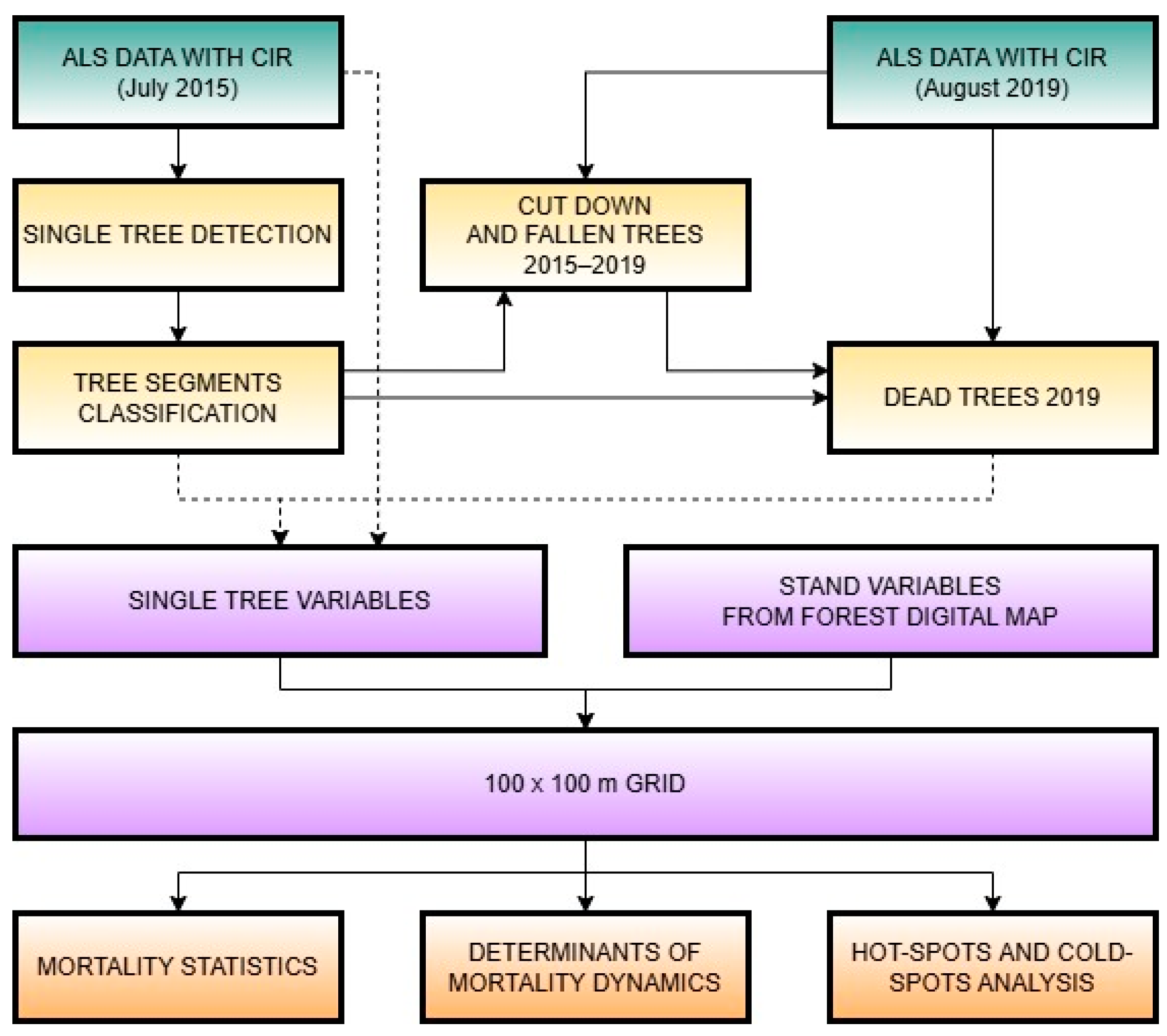 Forests 16 00506 g002