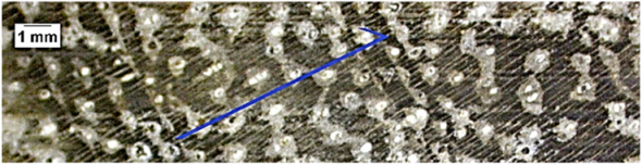 Forests 16 00542 i006