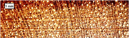 Forests 16 00542 i008