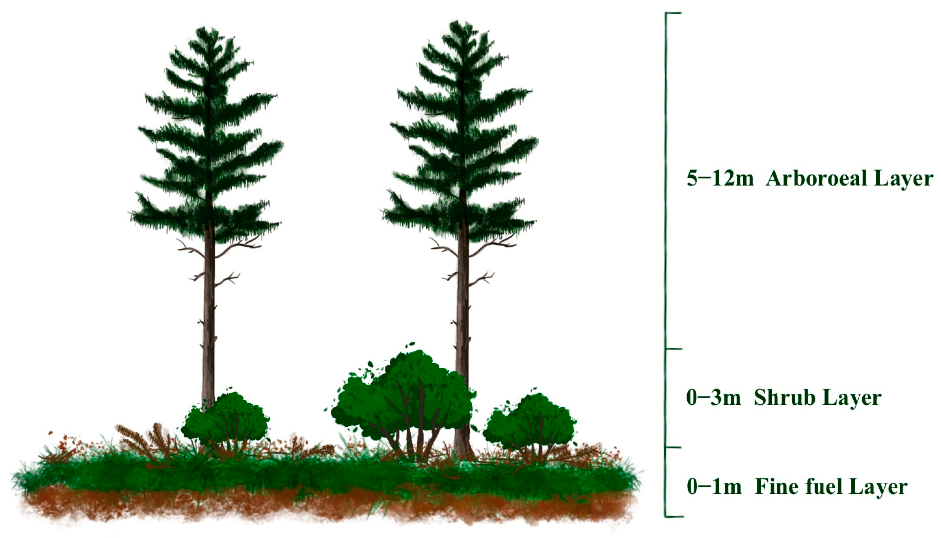 Forests 16 00548 g003 Forests 16 00548 g003