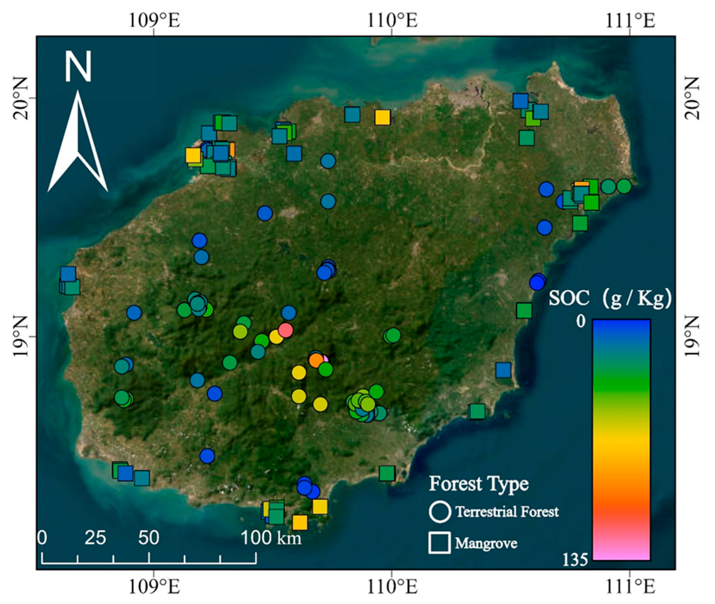 Forests 16 00550 g001 Forests 16 00550 g001