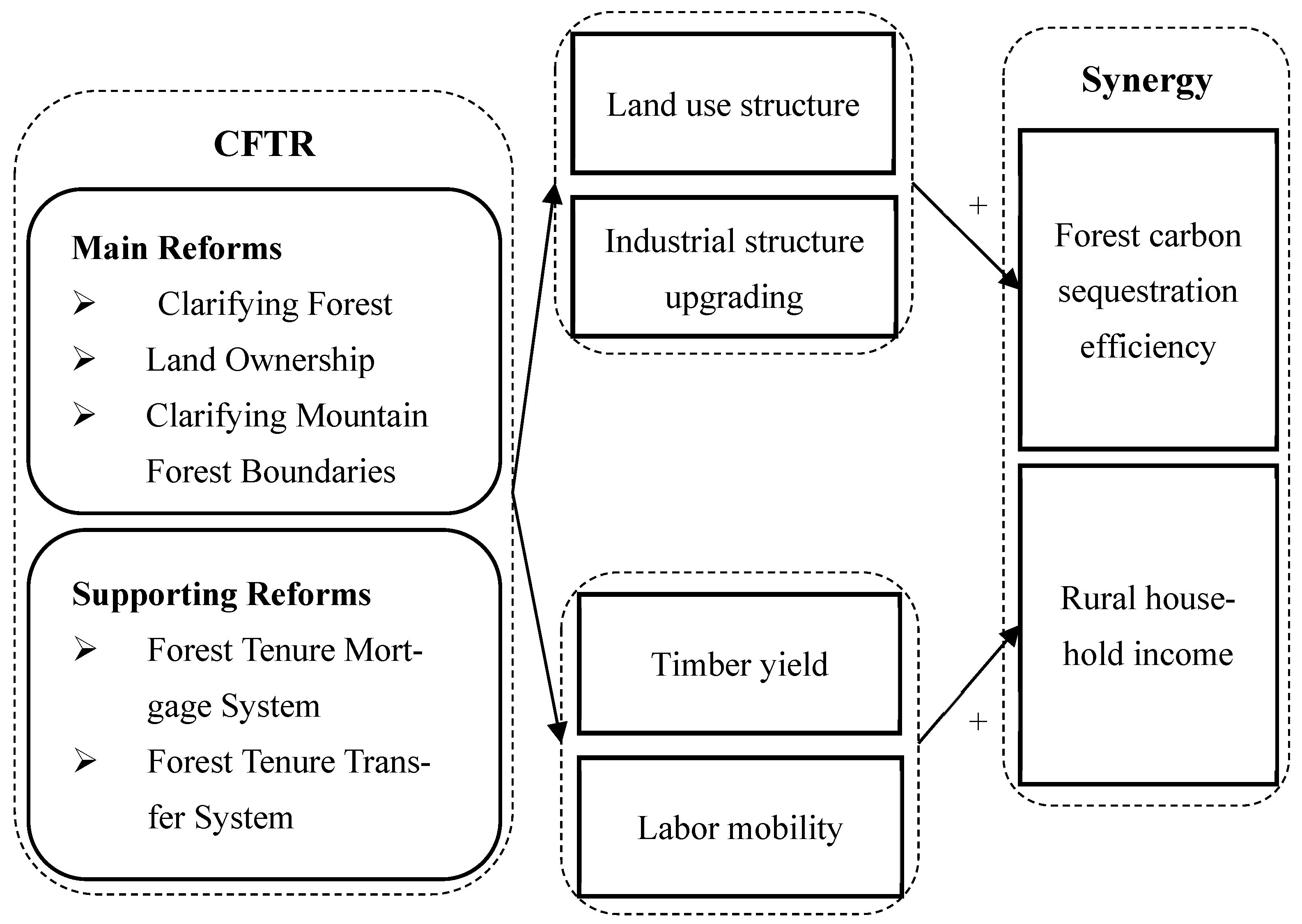 Forests 16 00551 g002