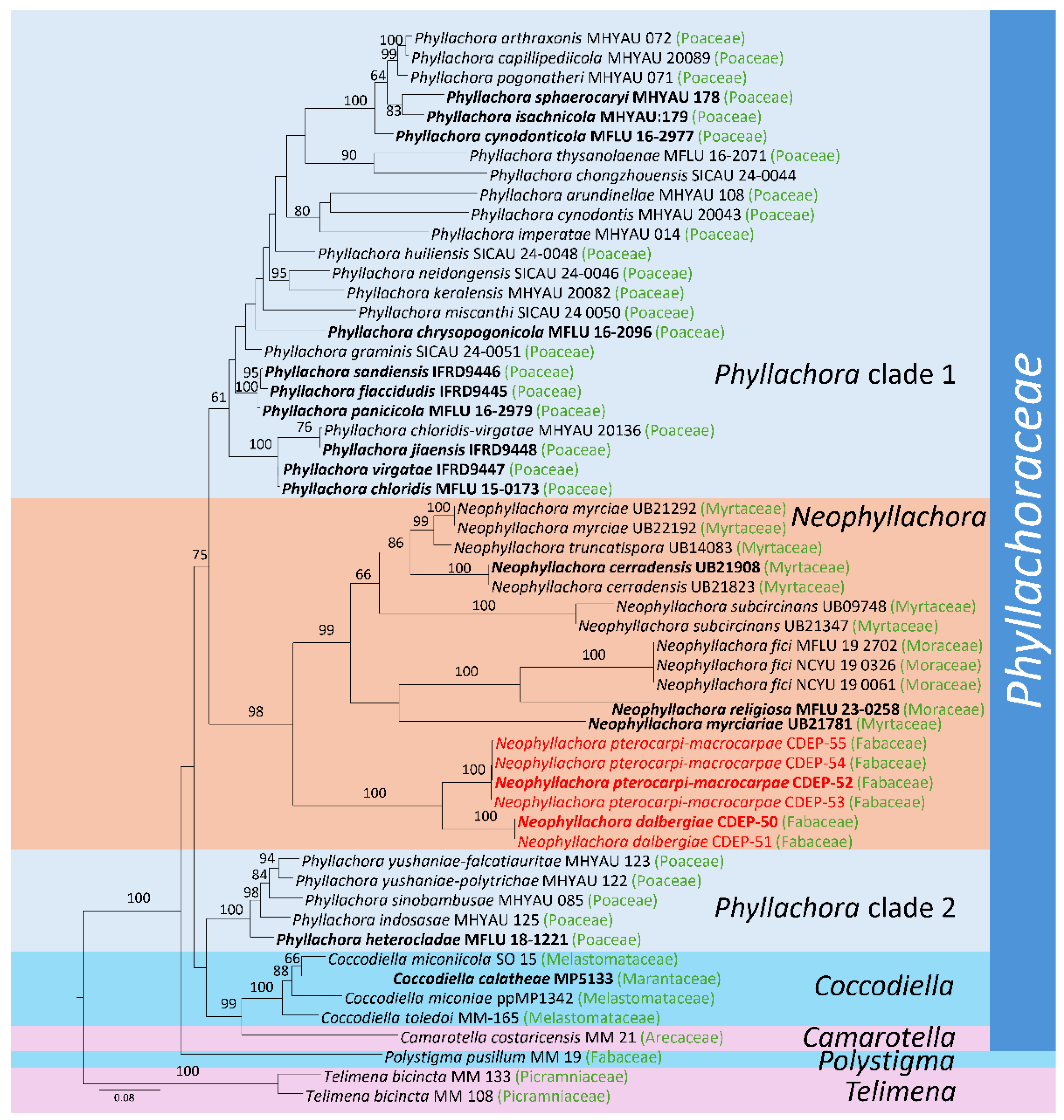 Forests 16 00556 g001