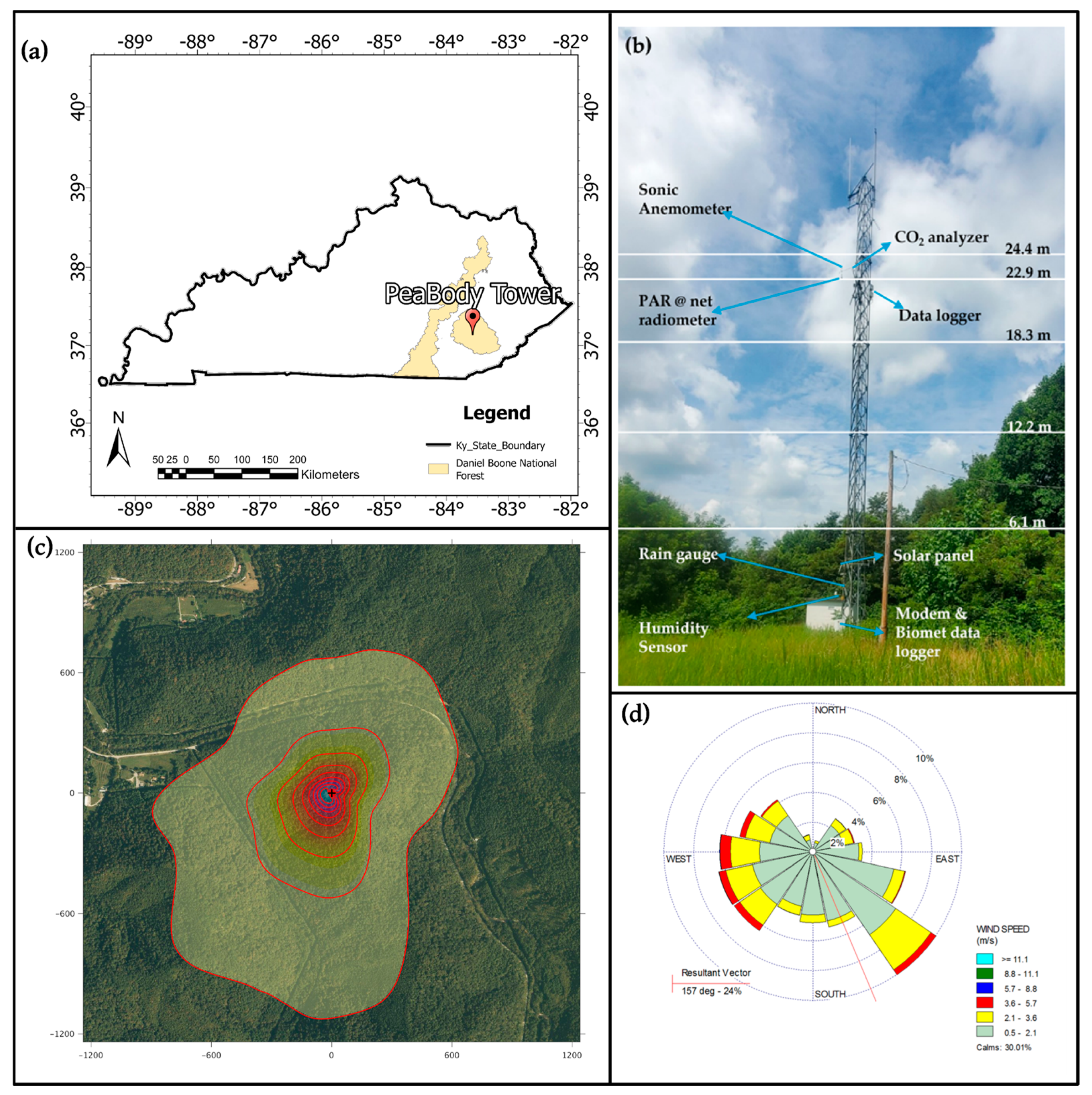 Forests 16 00562 g001
