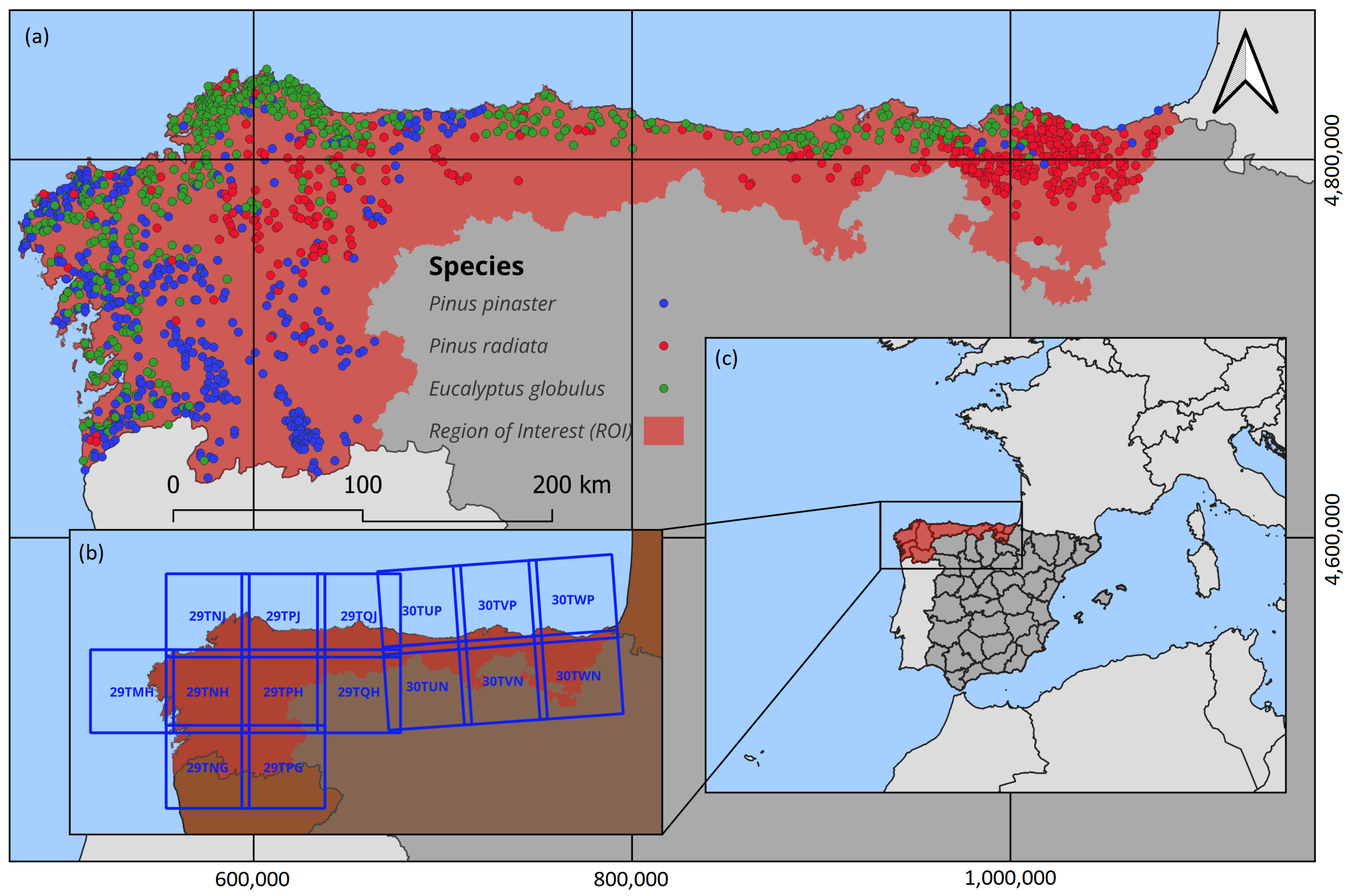 Forests 16 00563 g001
