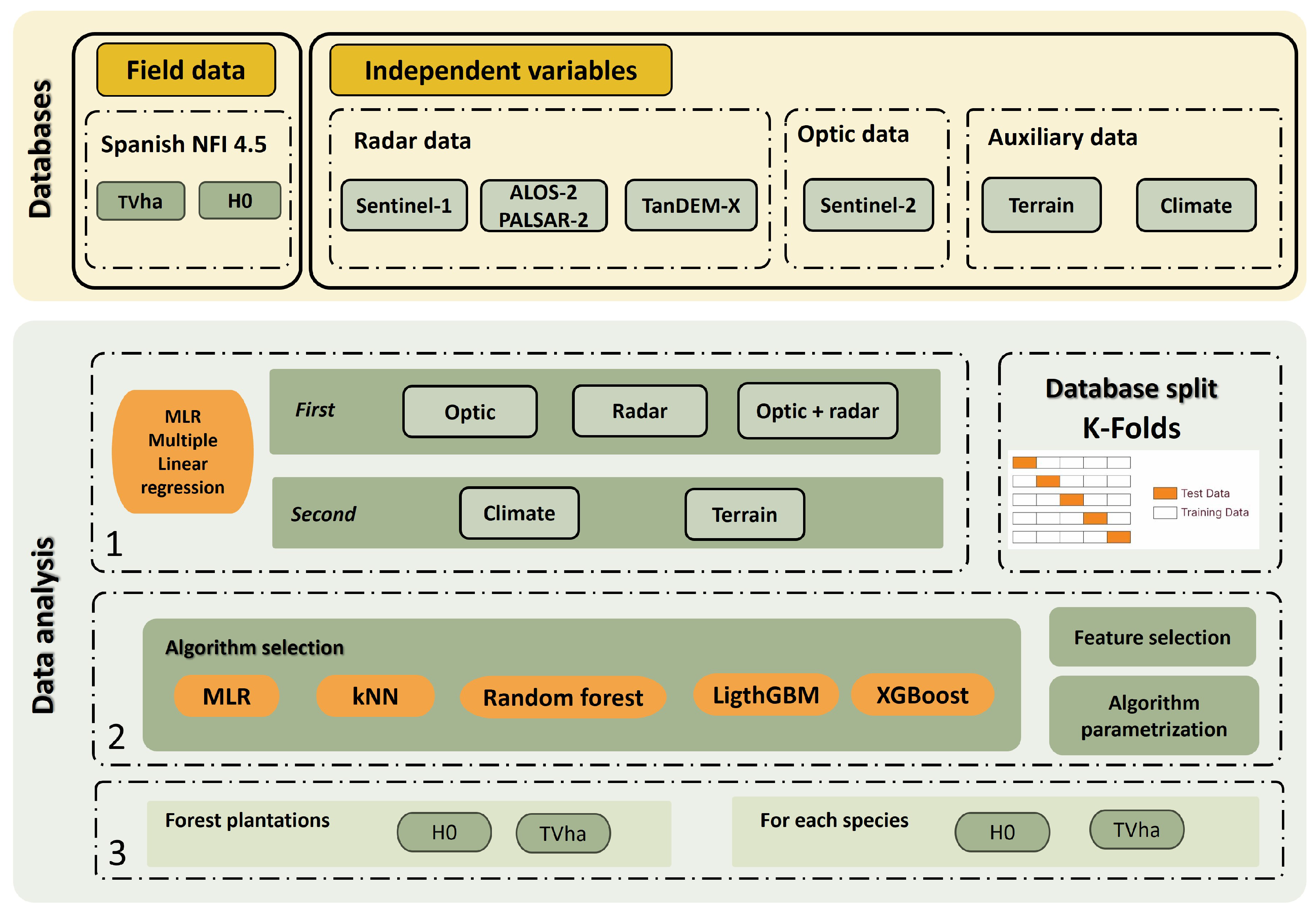 Forests 16 00563 g002