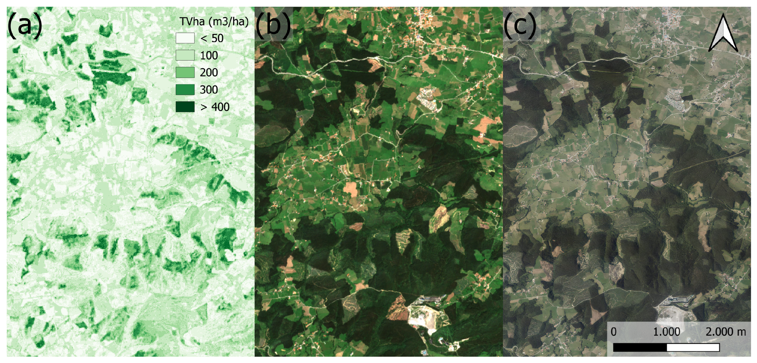 Forests 16 00563 g007