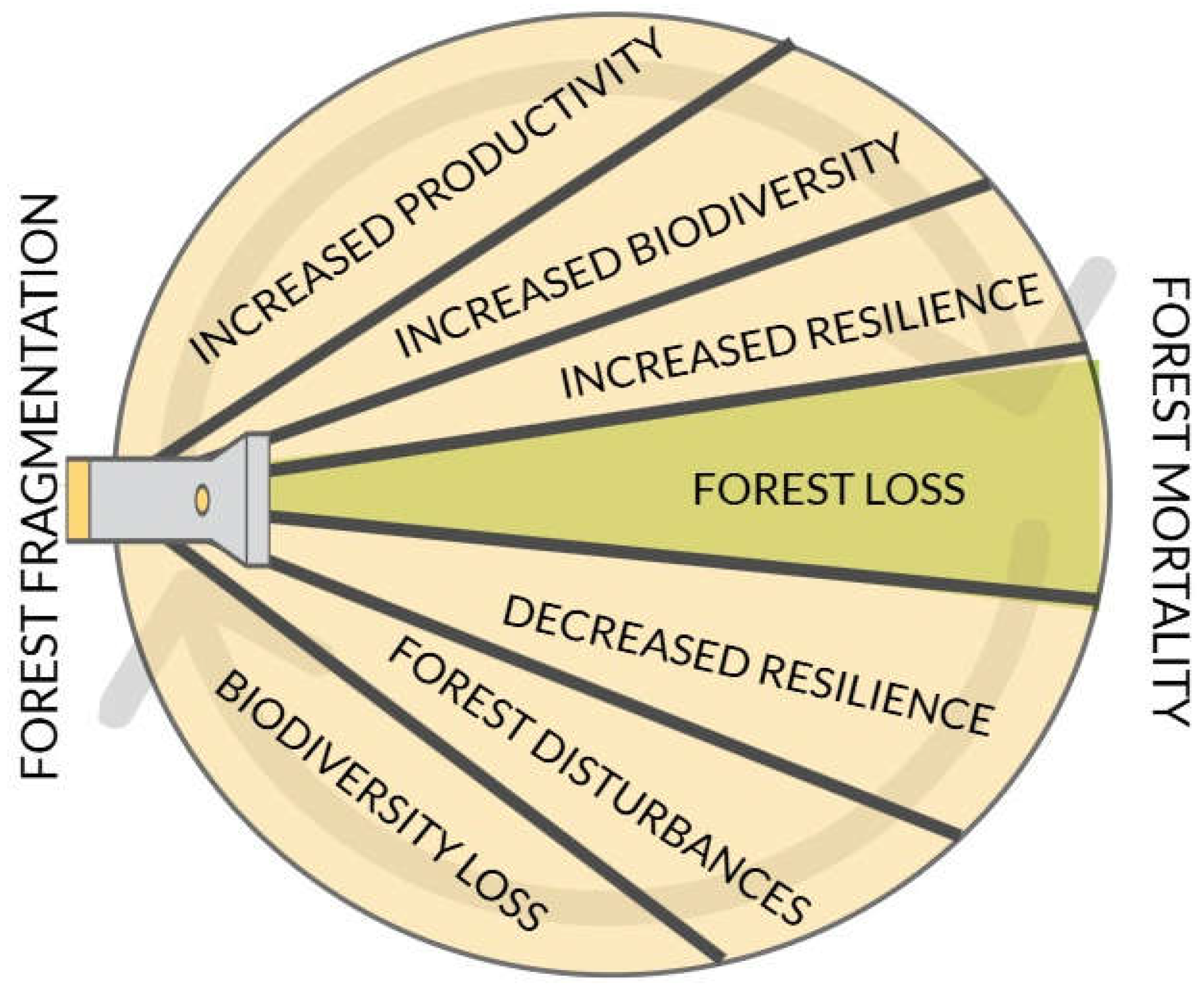 Forests 16 00565 g012