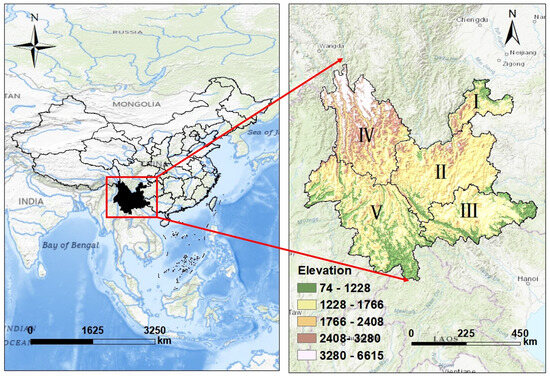Forests 16 00571 g002