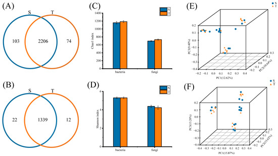 Forests 16 00574 g001
