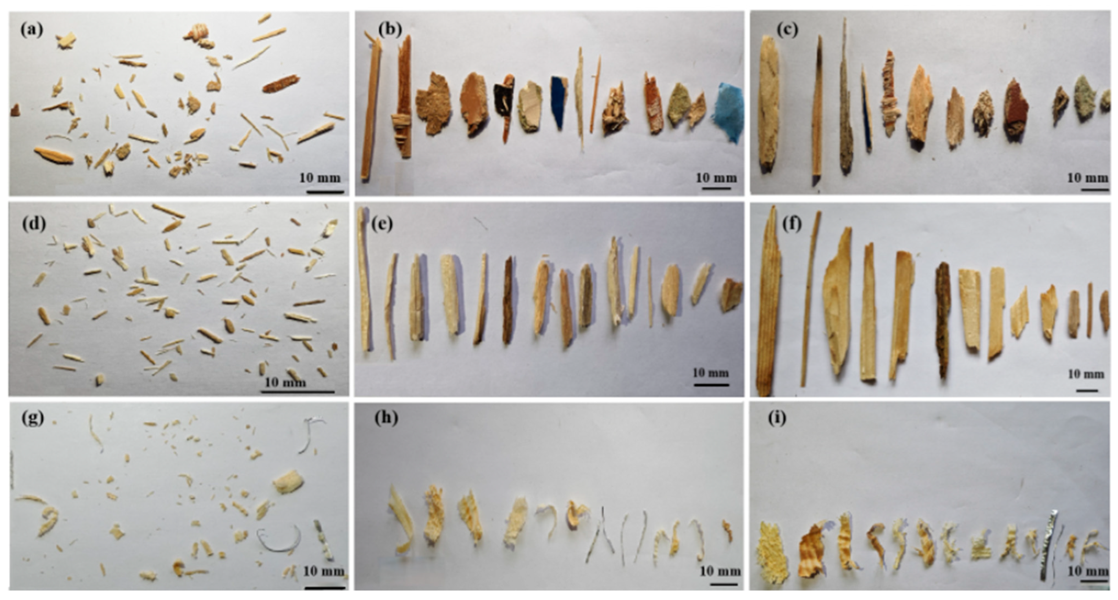 Forests 16 00577 g004