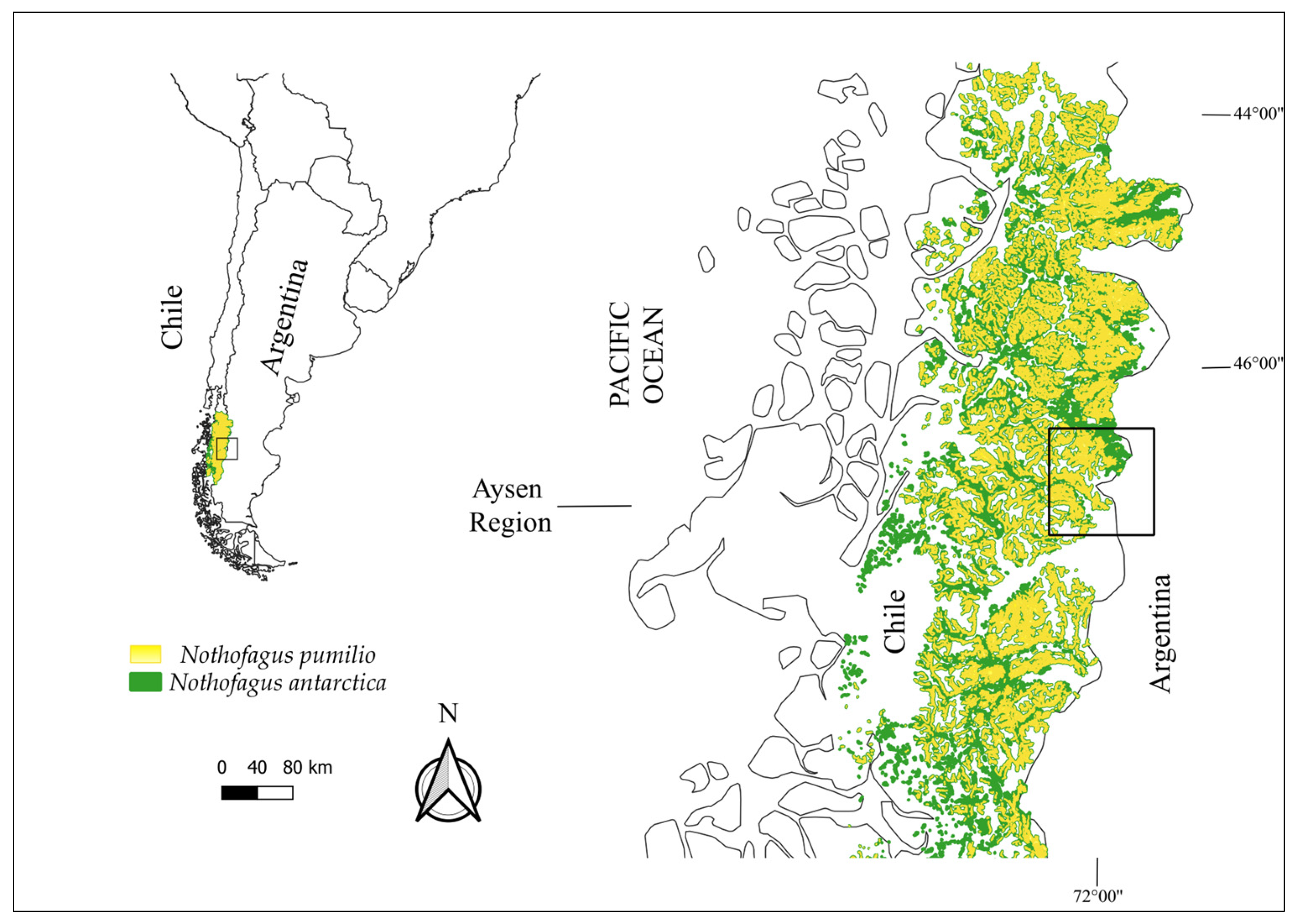 Forests 16 00580 g001