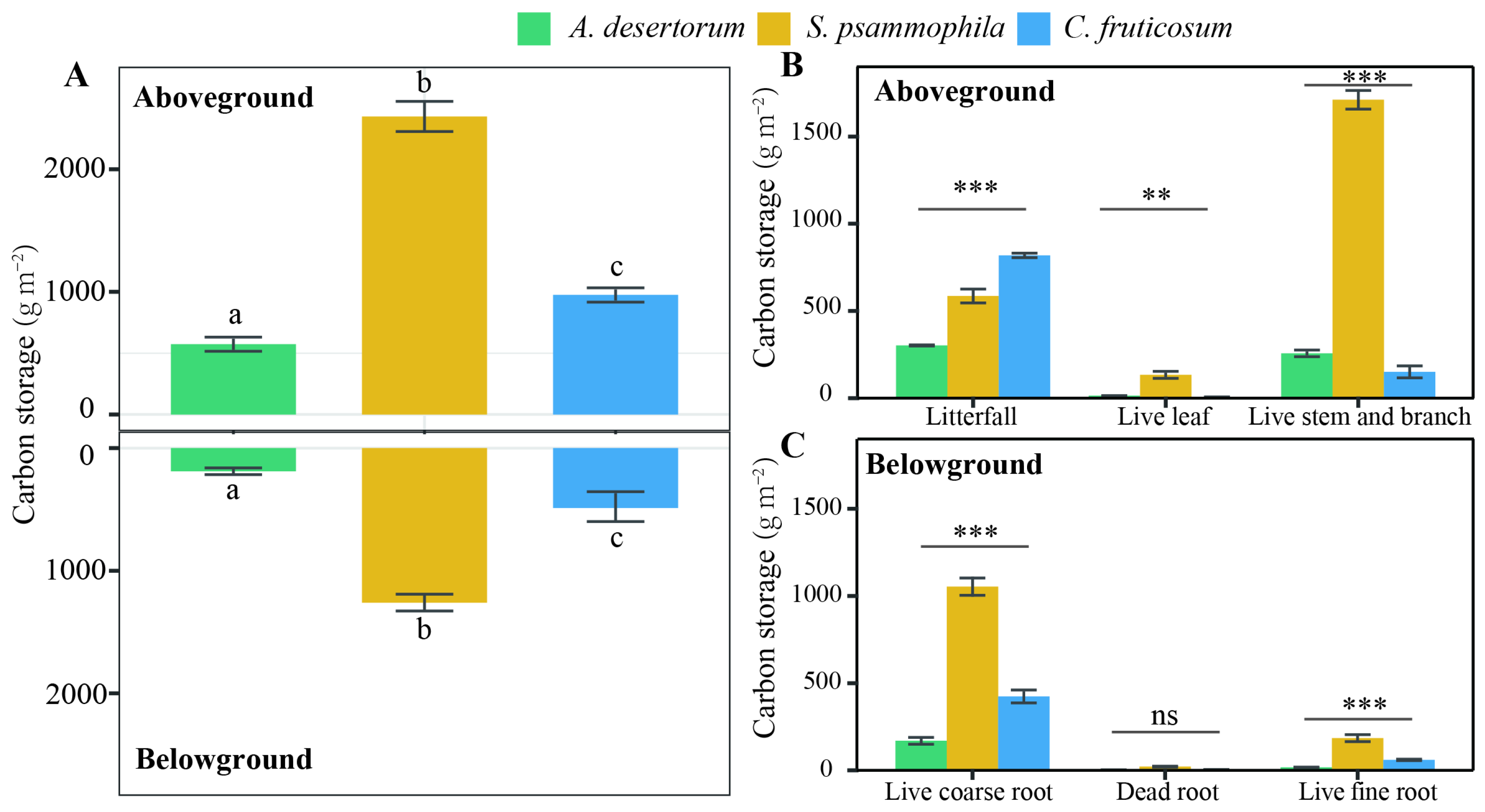 Forests 16 00586 g001