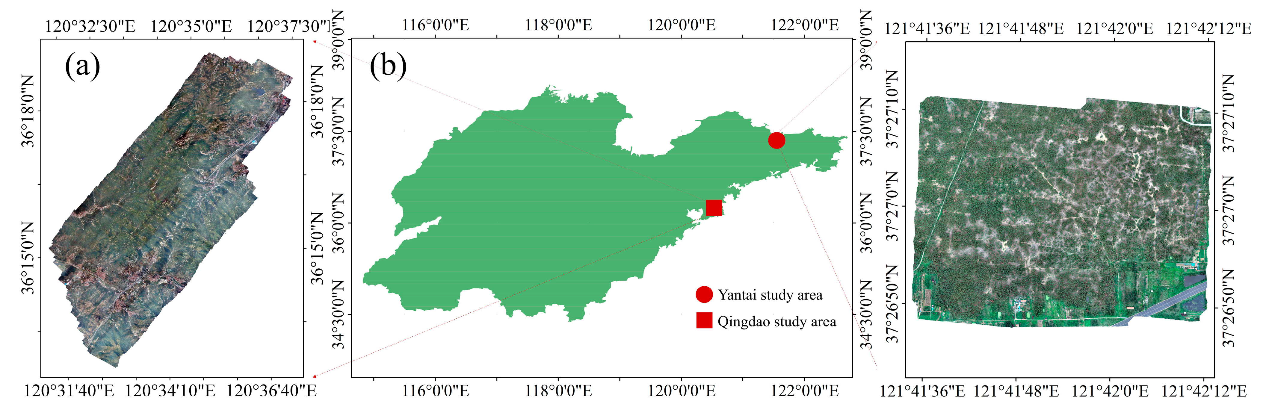 Forests 16 00596 g001
