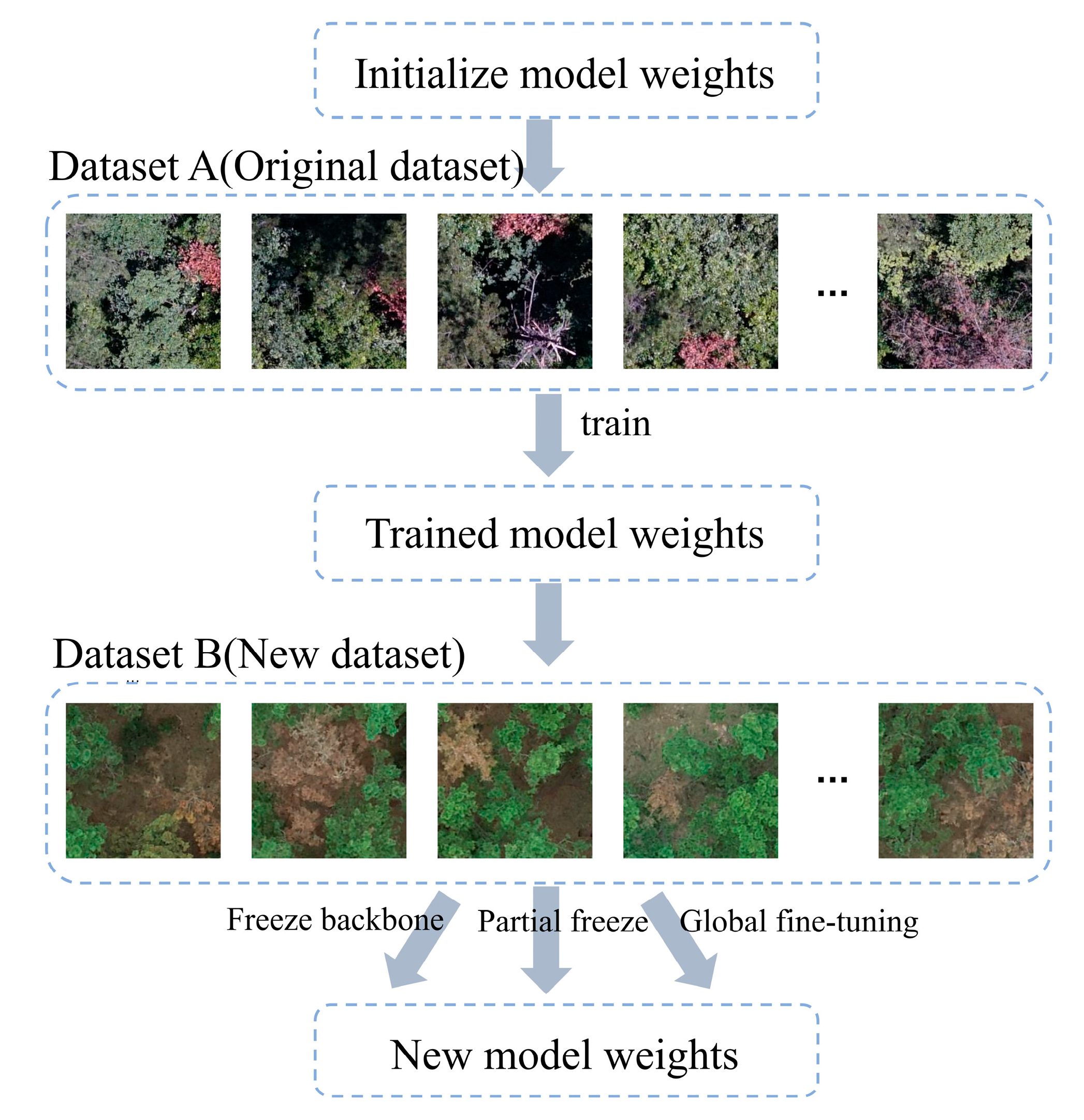 Forests 16 00596 g006