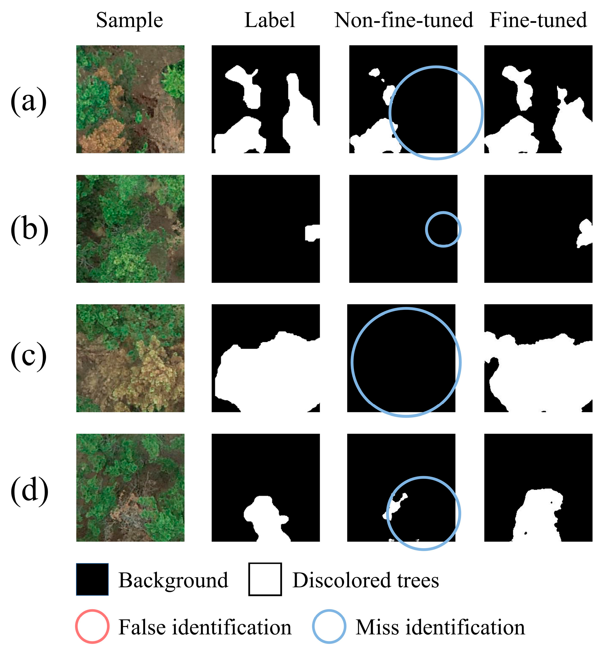 Forests 16 00596 g011