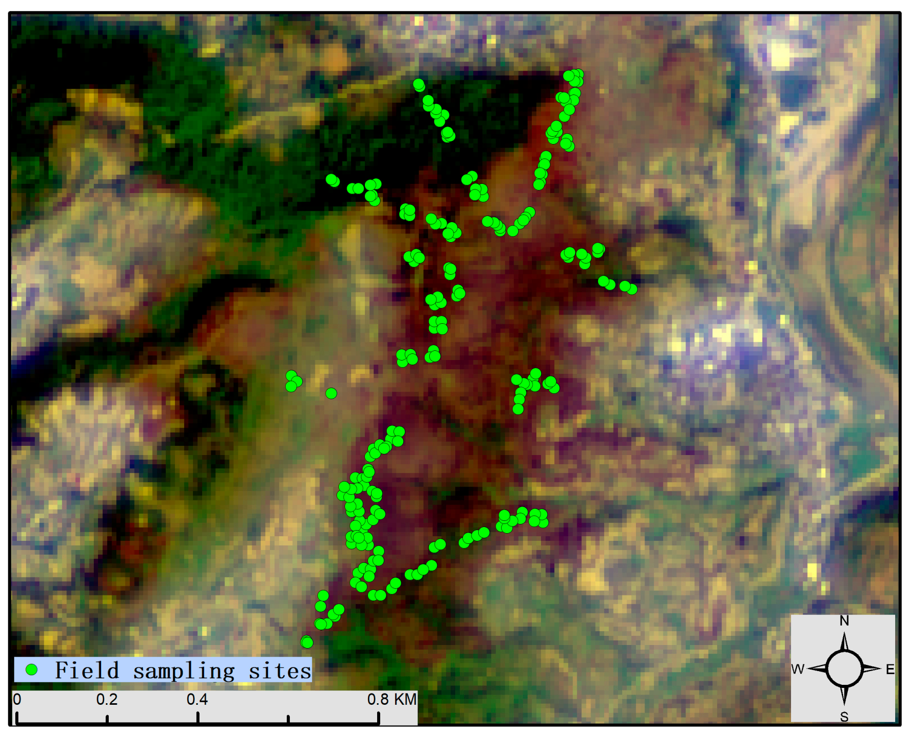 Forests 16 00597 g003 Forests 16 00597 g003