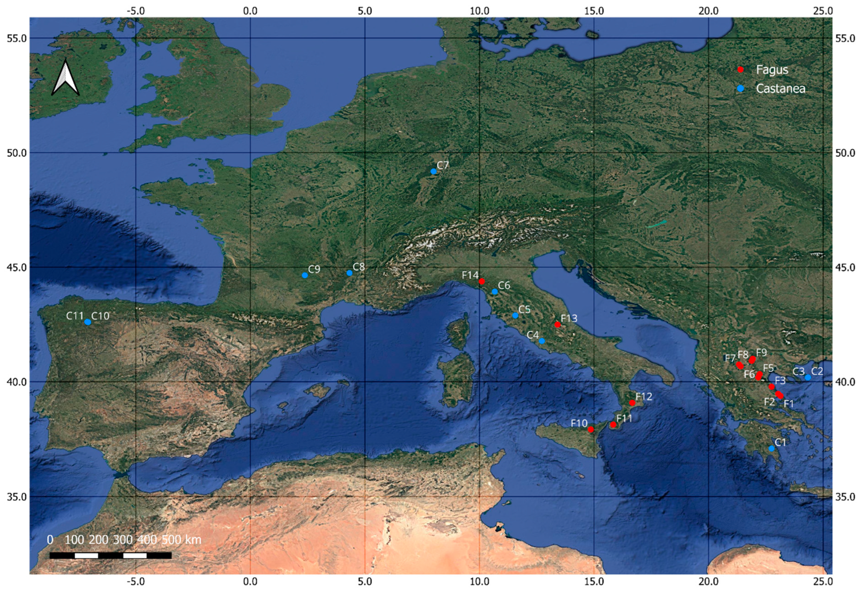 Forests 16 00608 g001