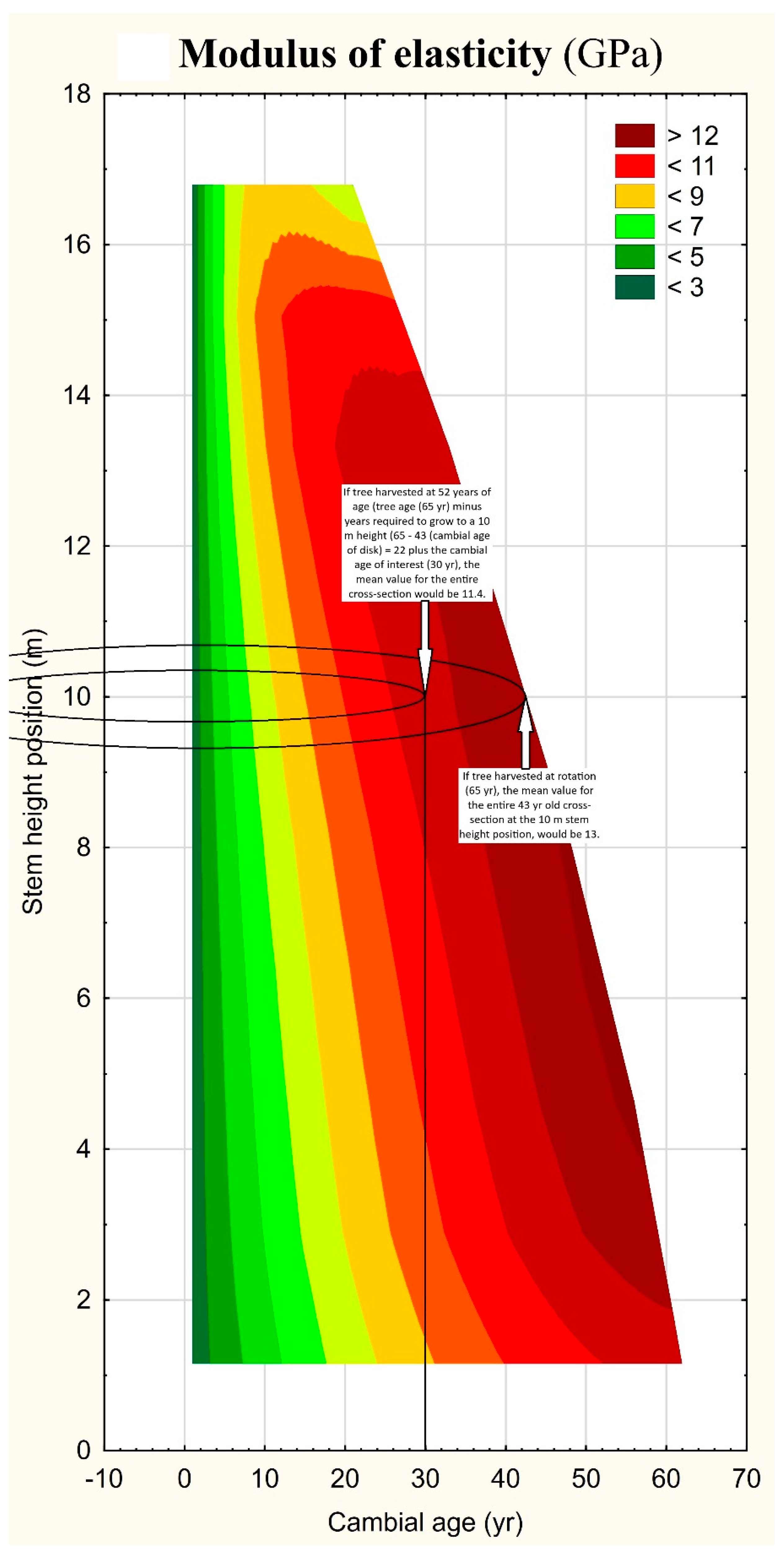Forests 16 00610 g006