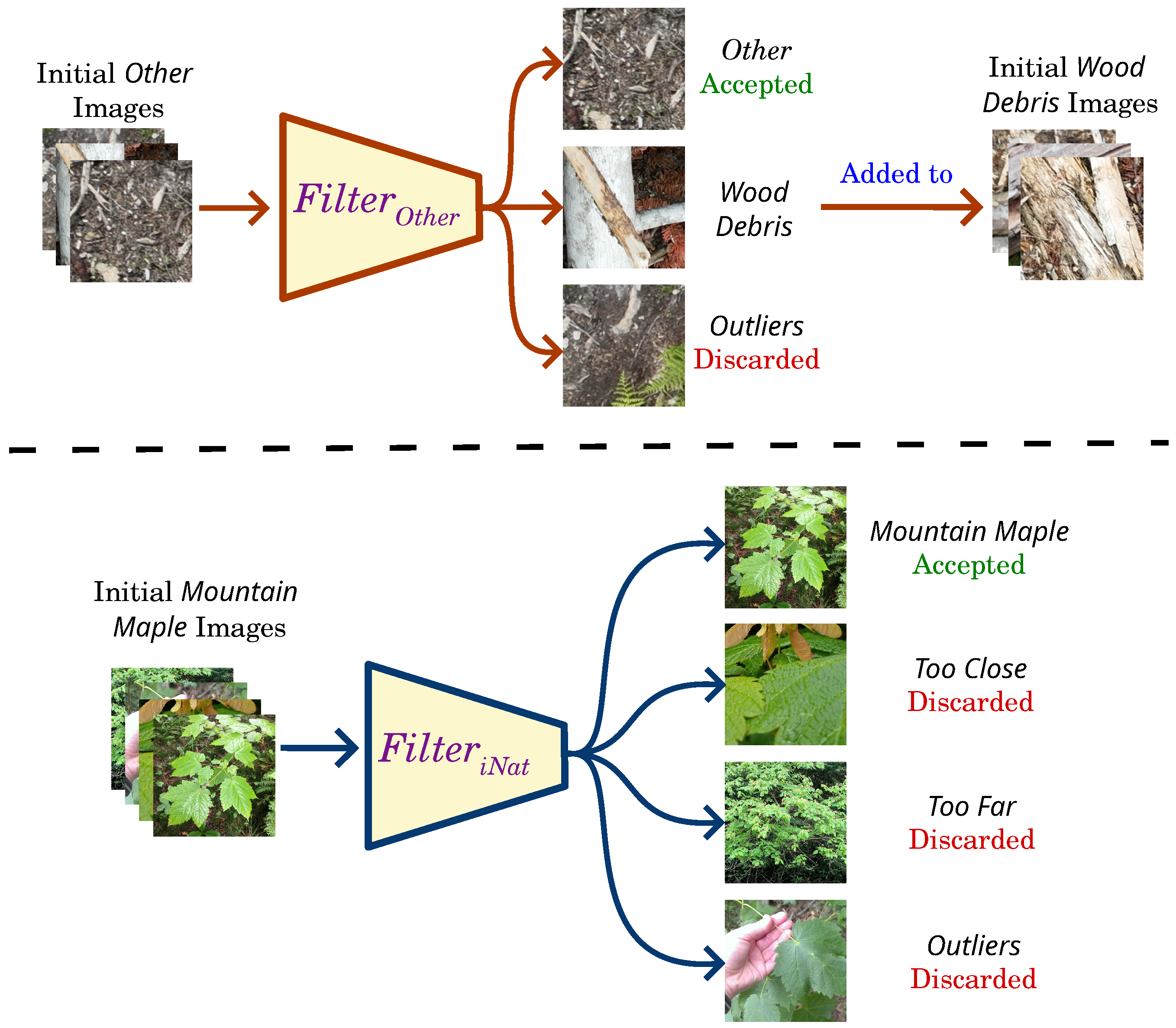 Forests 16 00616 g006