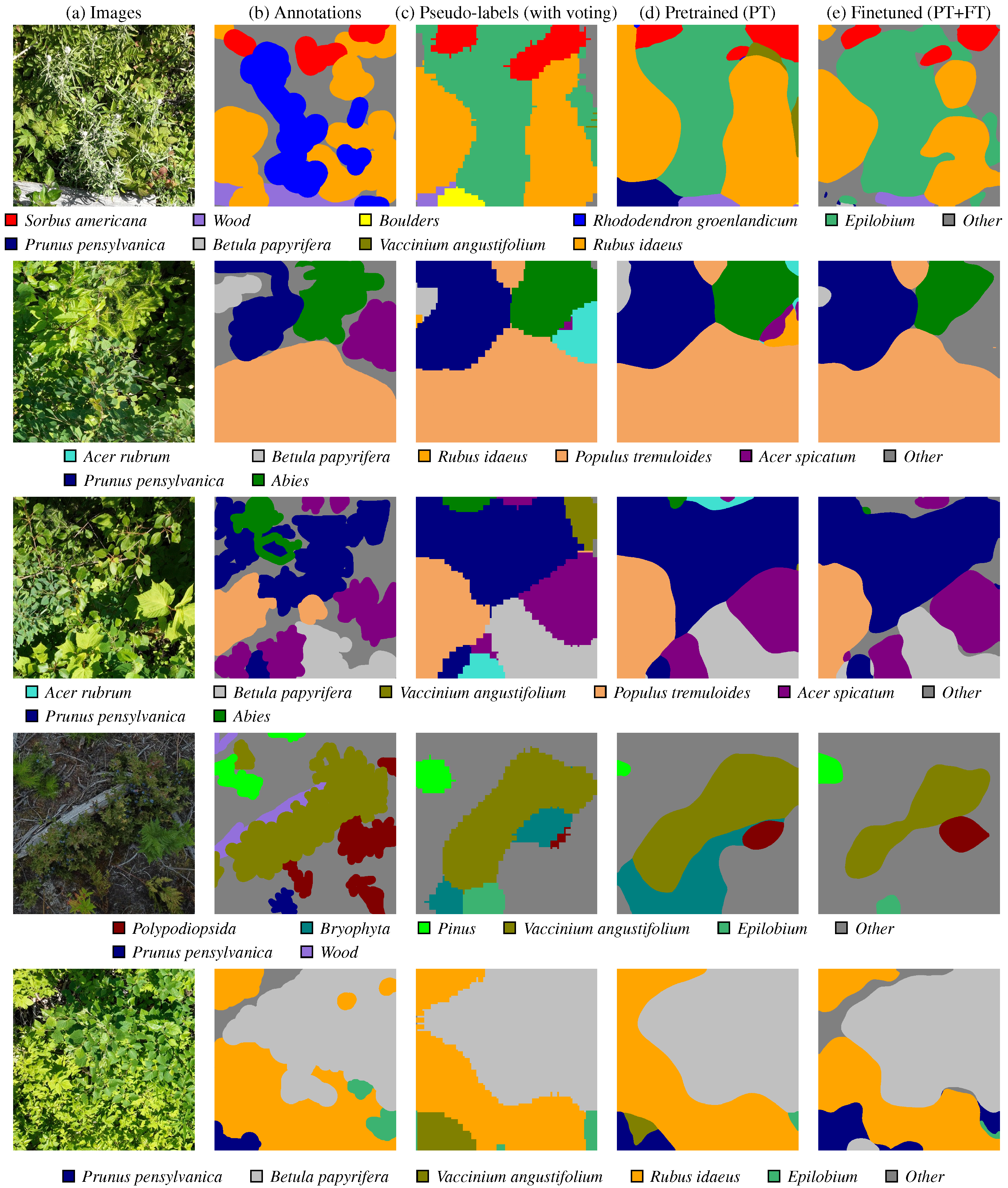Forests 16 00616 g013
