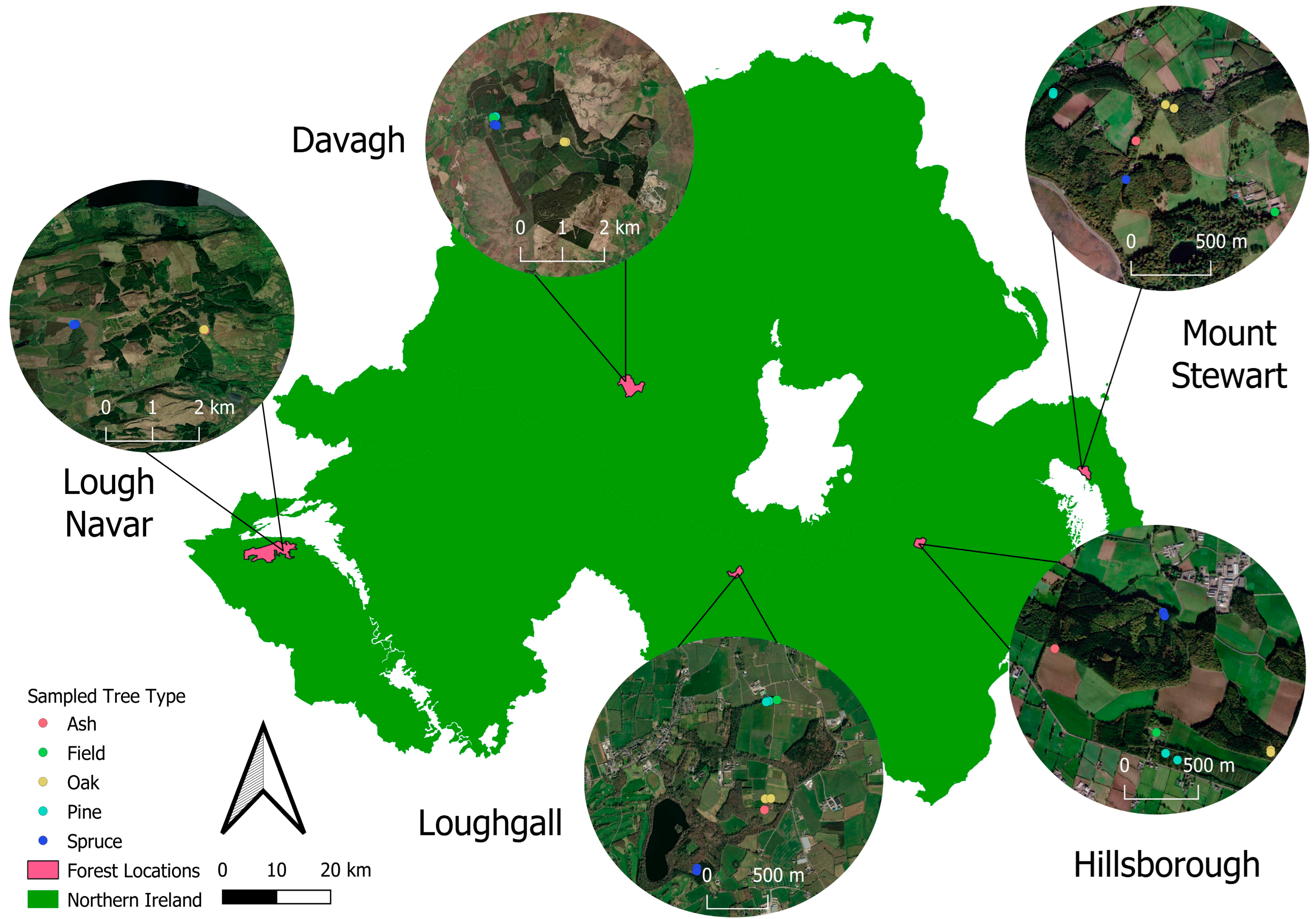 Forests 16 00632 g001