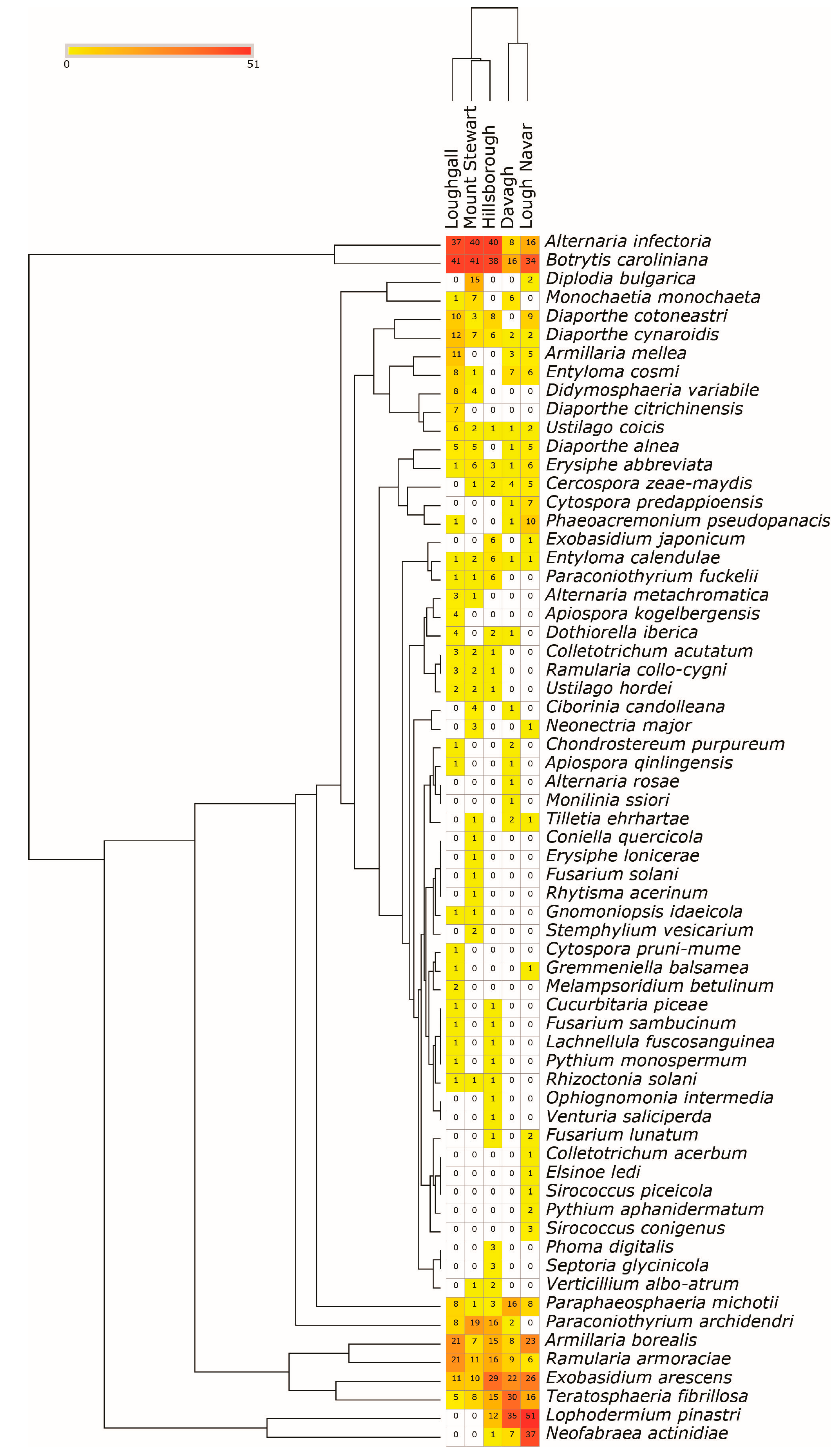 Forests 16 00632 g003