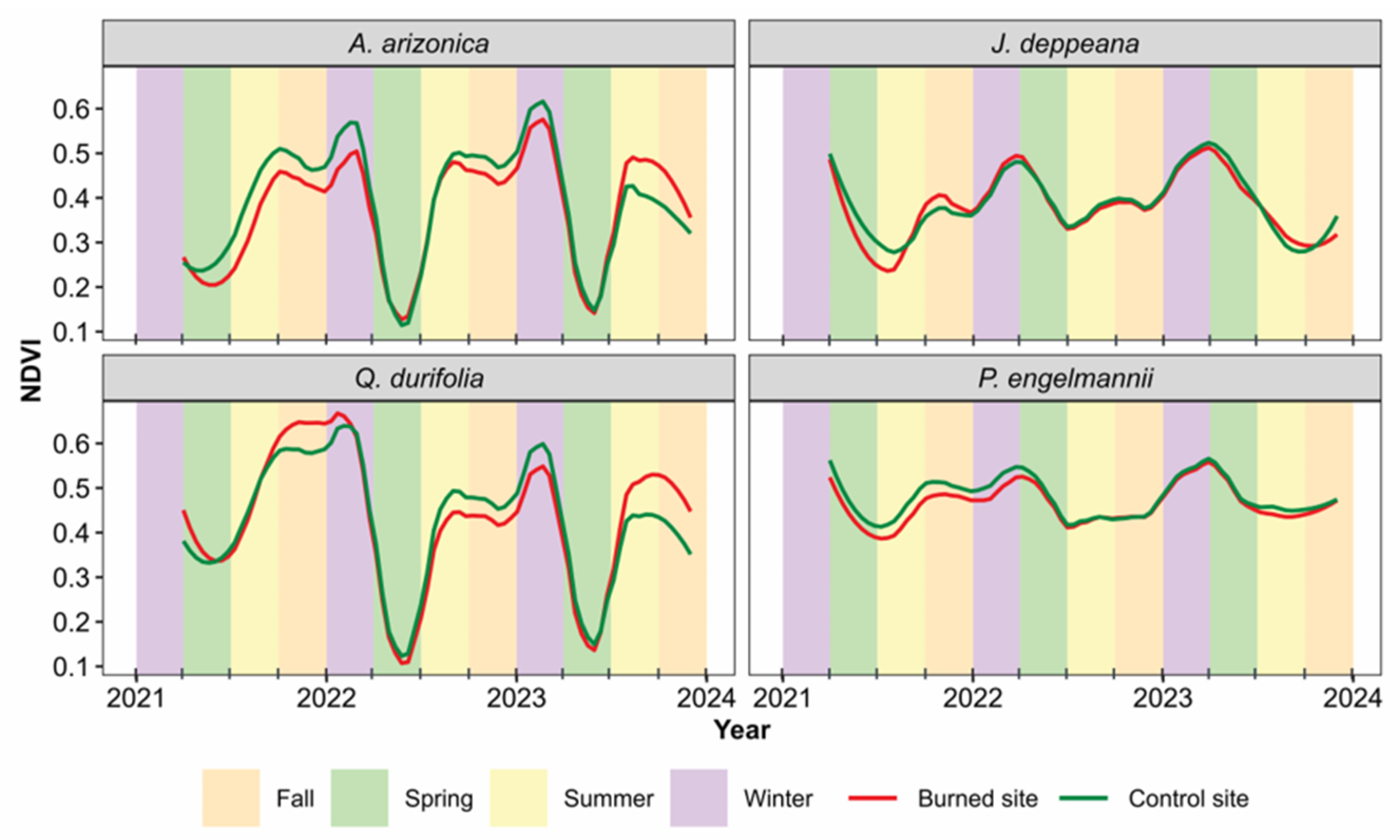 Forests 16 00633 g003 Forests 16 00633 g003