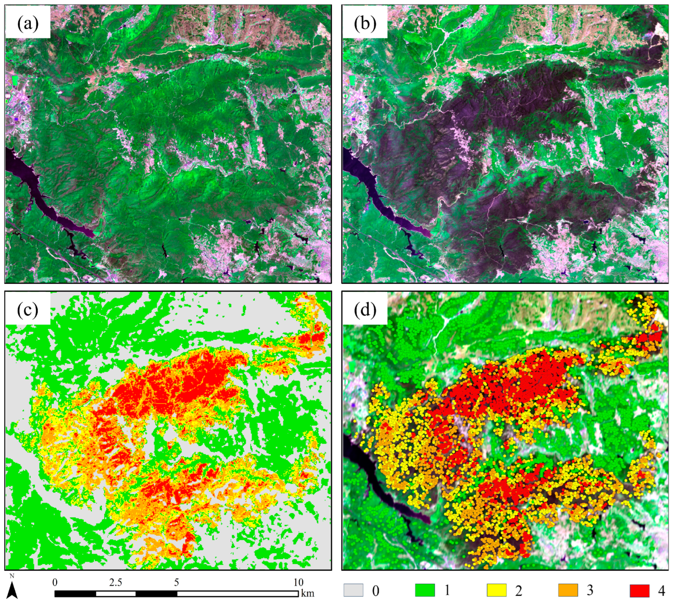 Forests 16 00640 g004 Forests 16 00640 g004