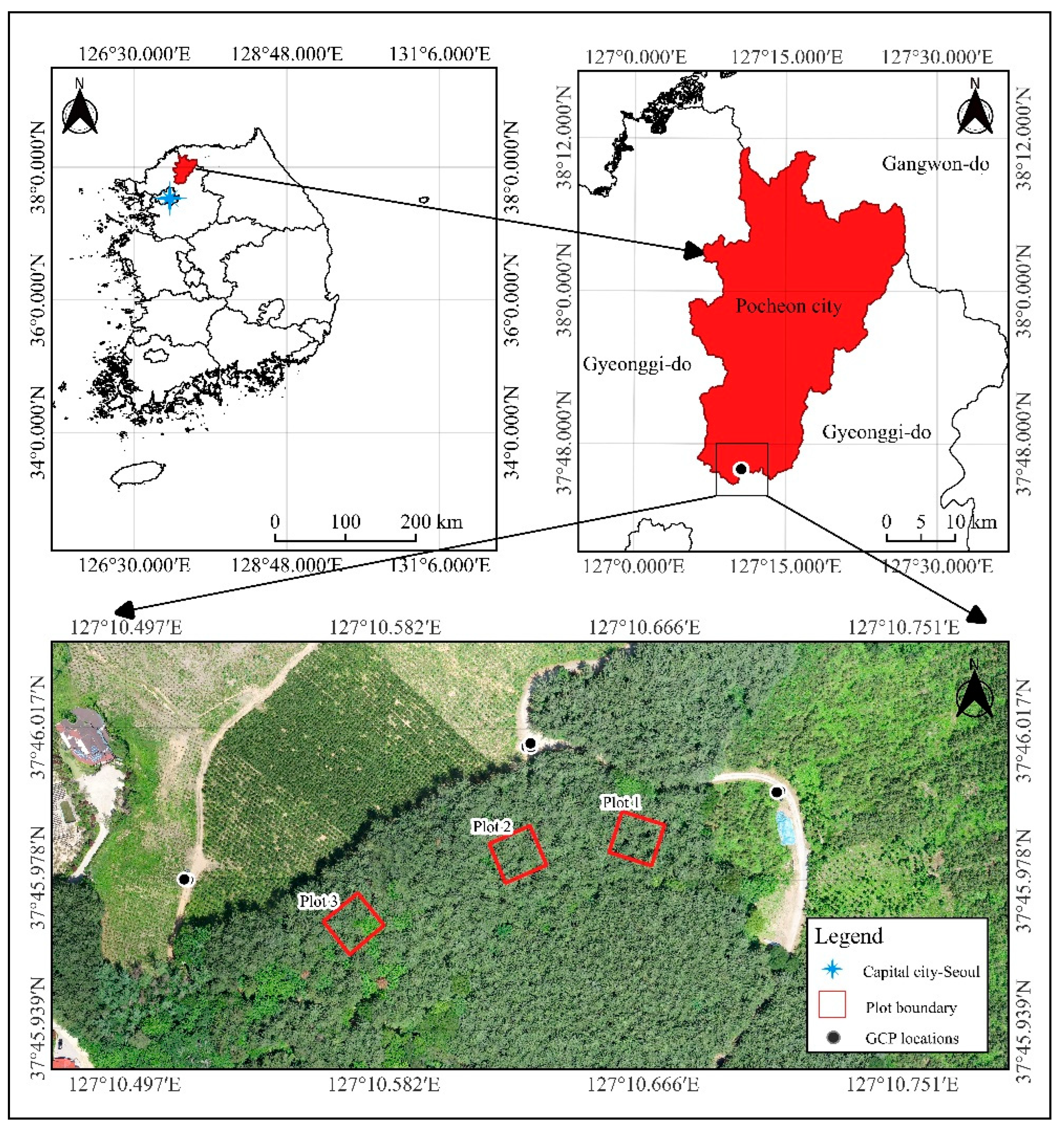 Forests 16 00643 g001