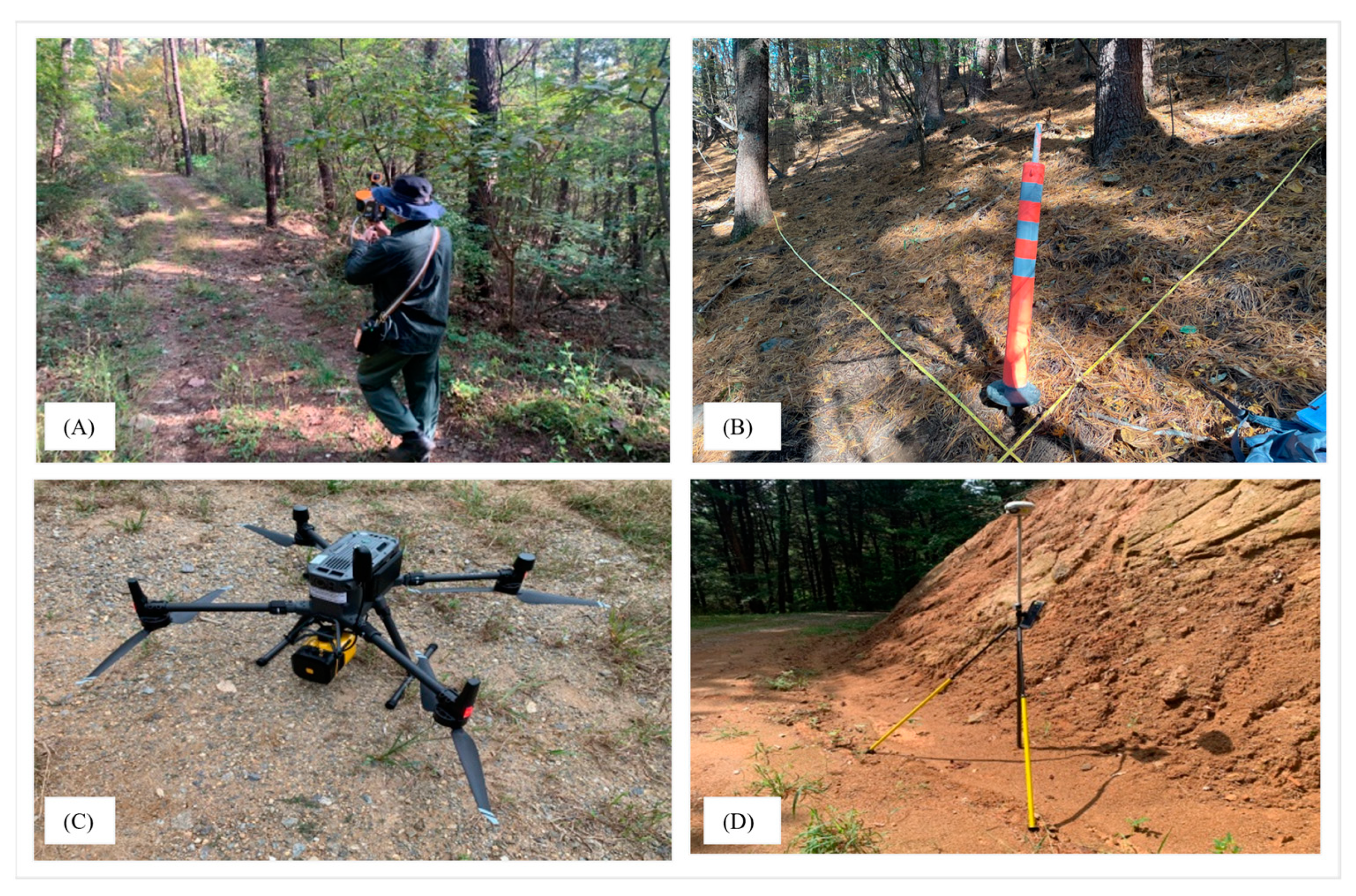 Forests 16 00643 g002