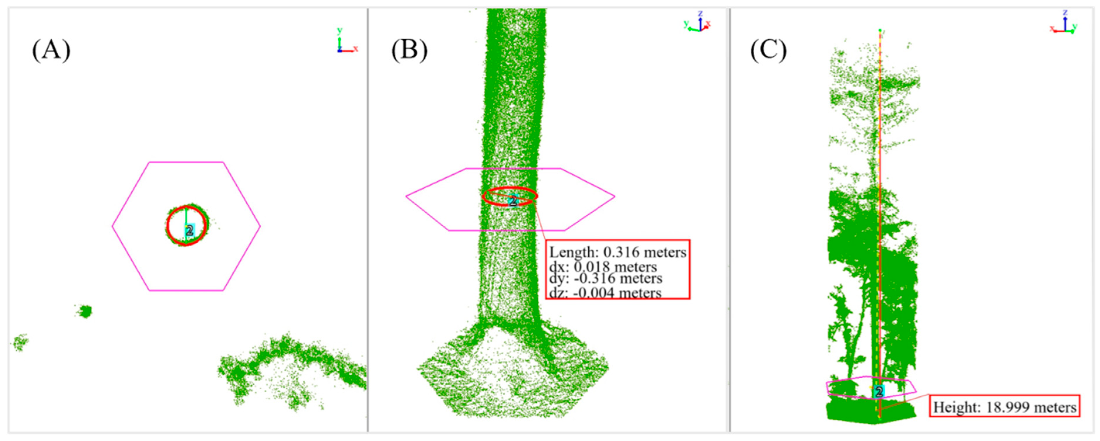 Forests 16 00643 g003