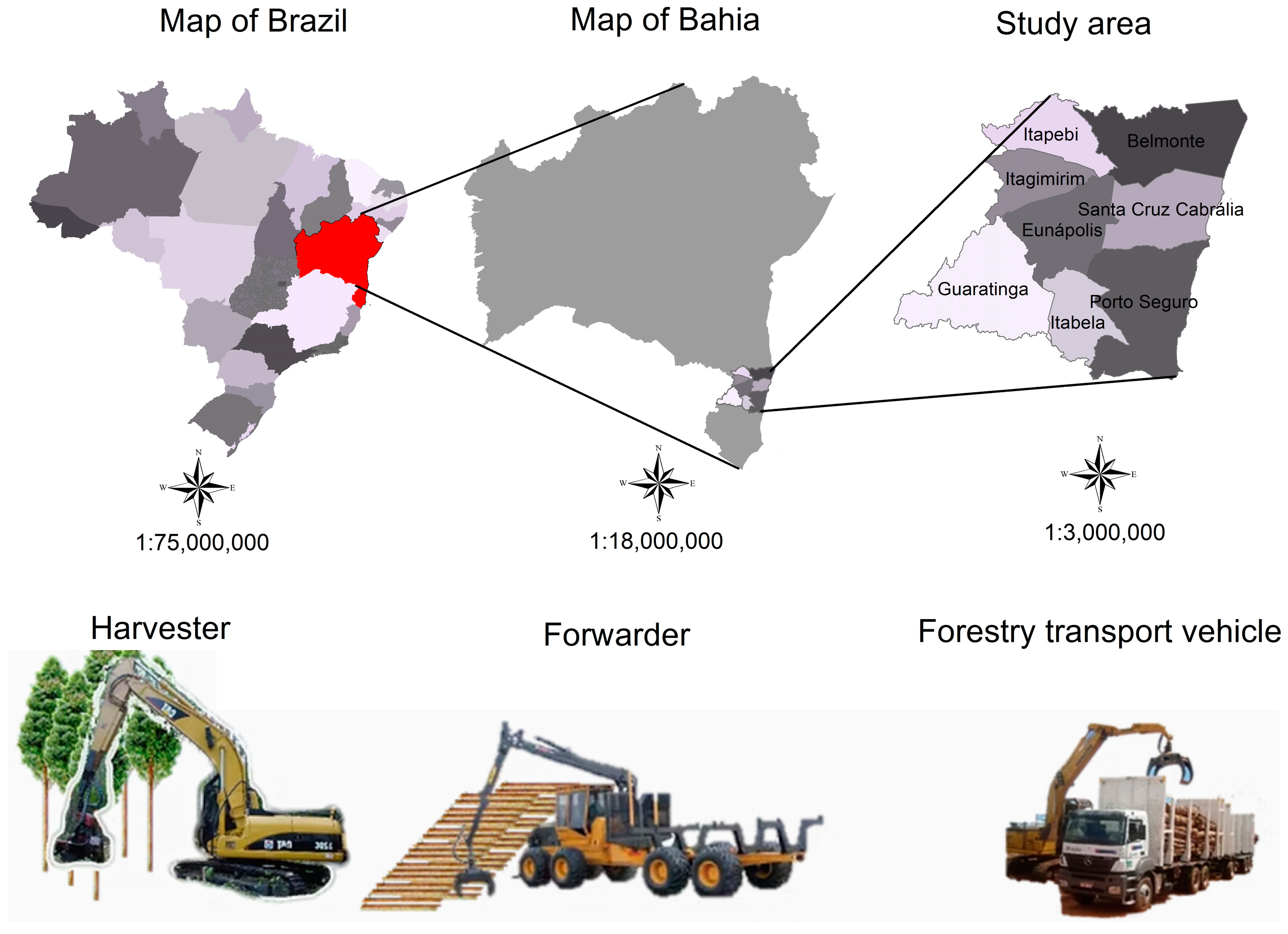Forests 16 00646 g001