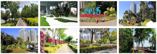 Forests 16 00648 g0a3