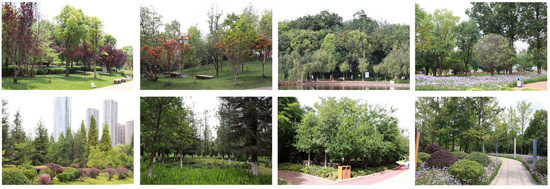 Forests 16 00648 g0a4