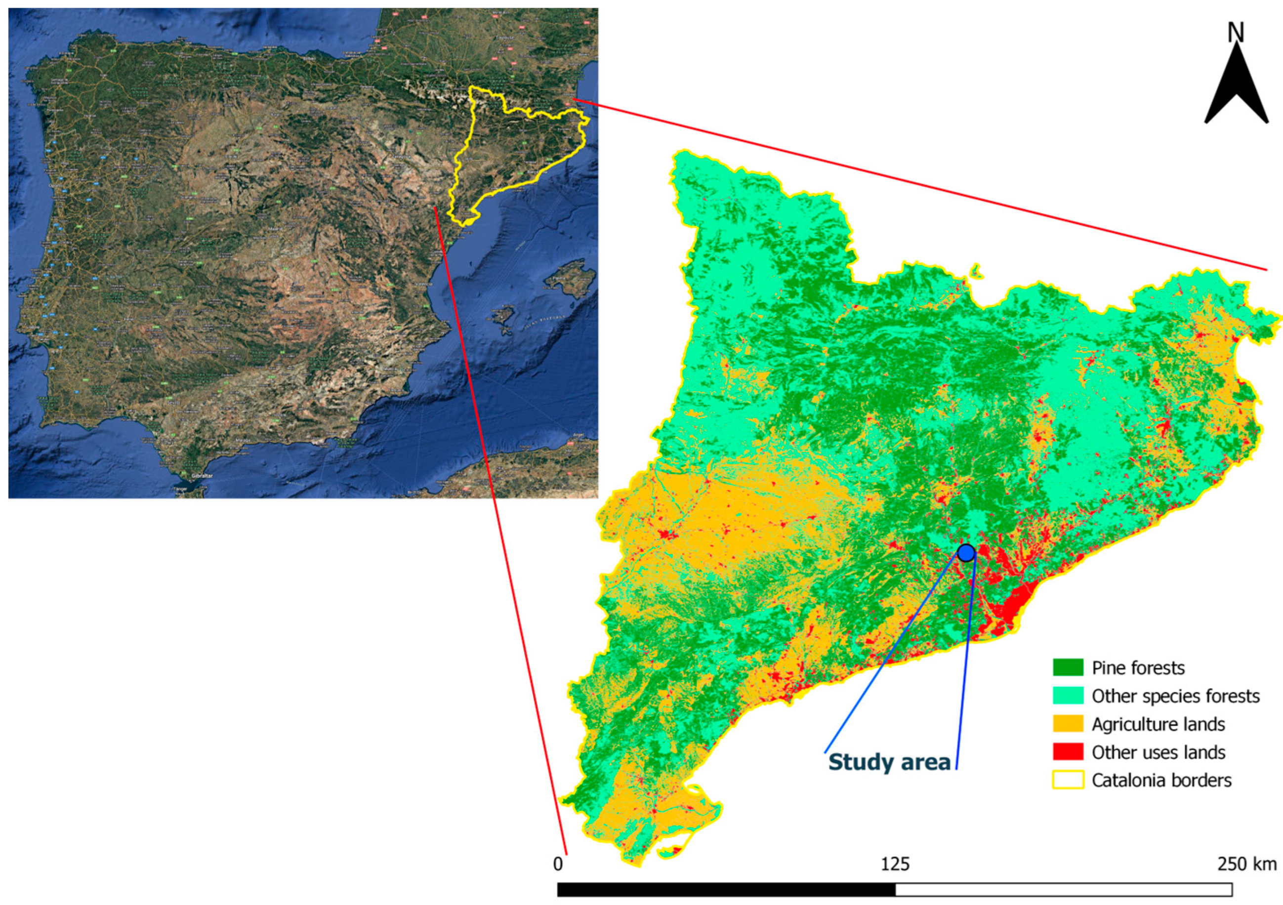 Forests 16 00652 g001