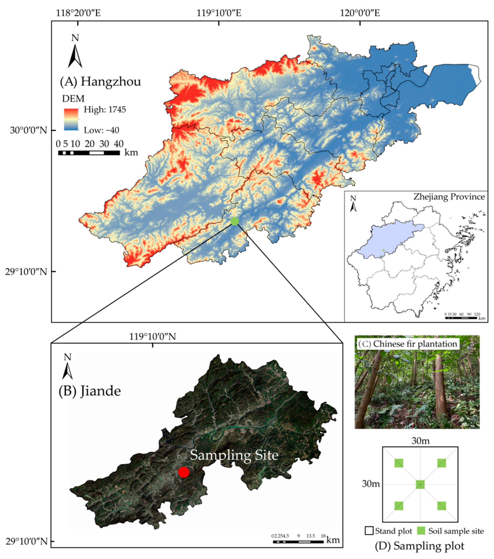 Forests 16 00654 g001