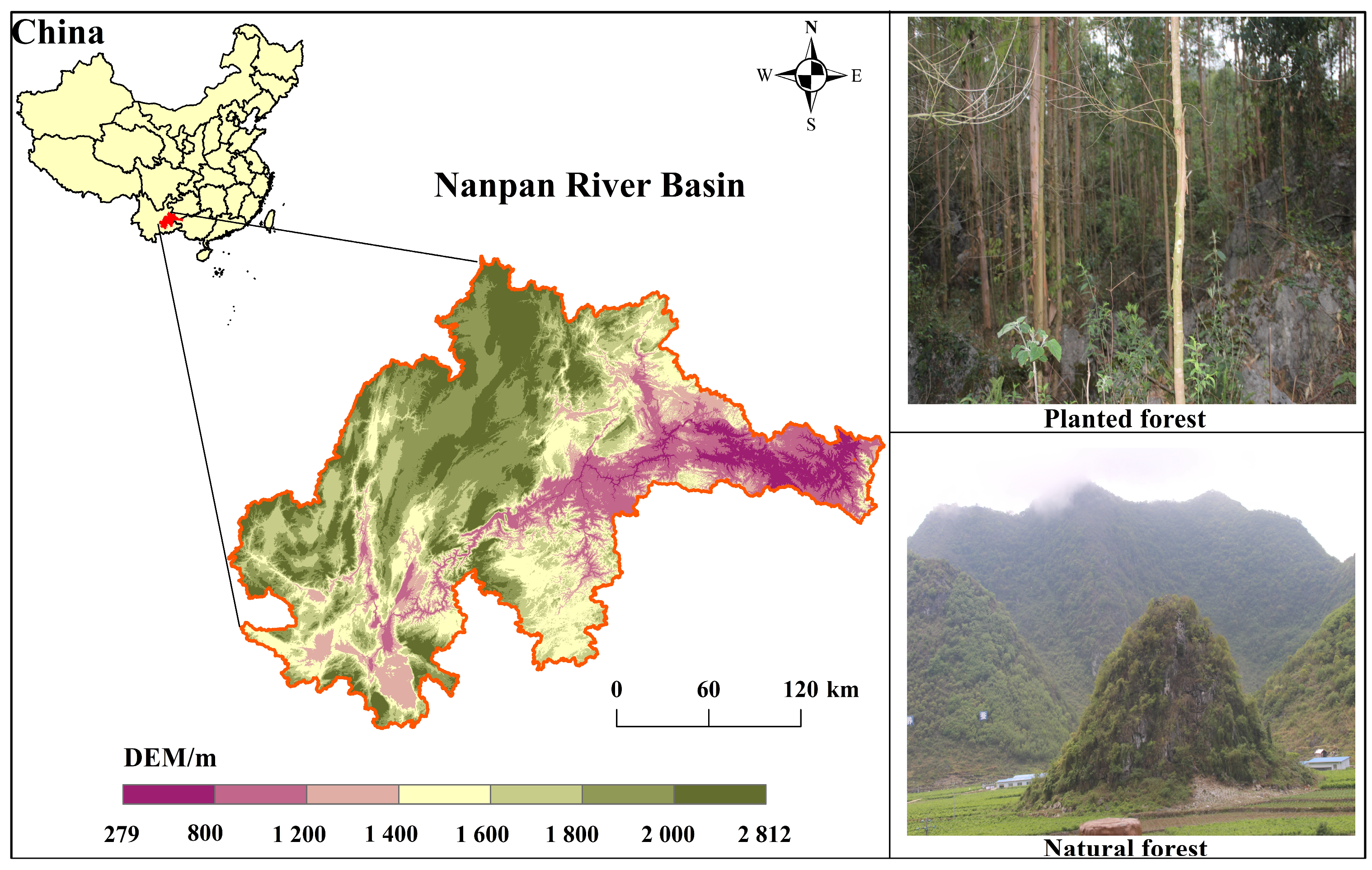 Forests 16 00665 g001 Forests 16 00665 g001