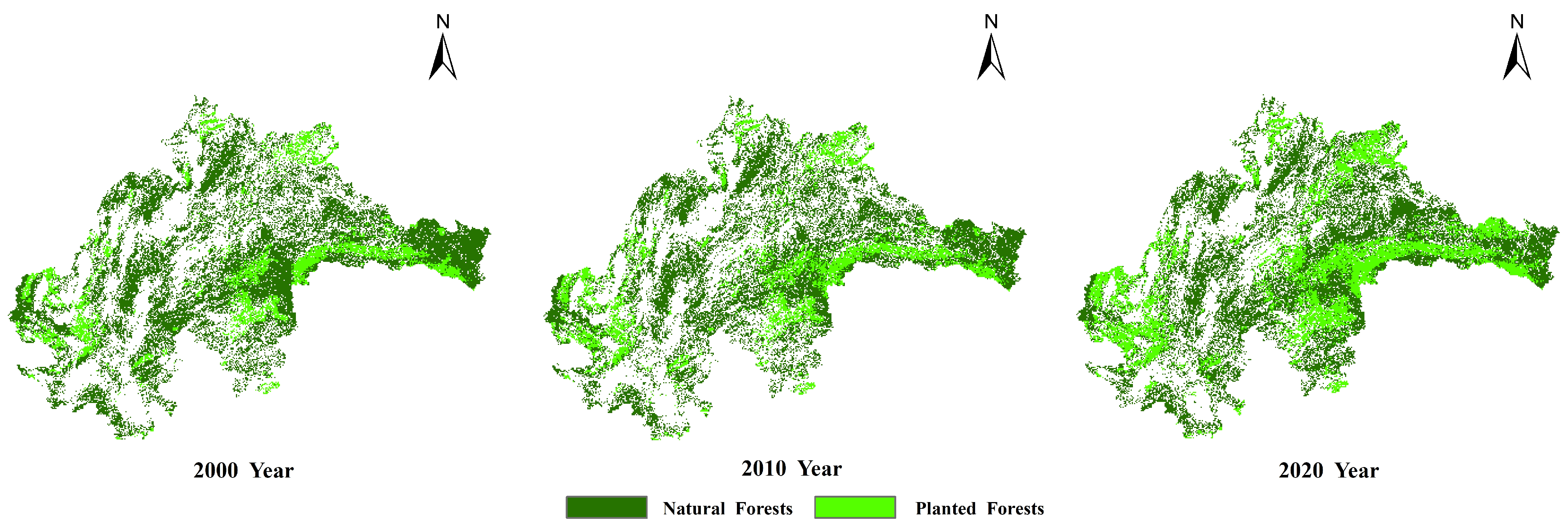 Forests 16 00665 g002 Forests 16 00665 g002