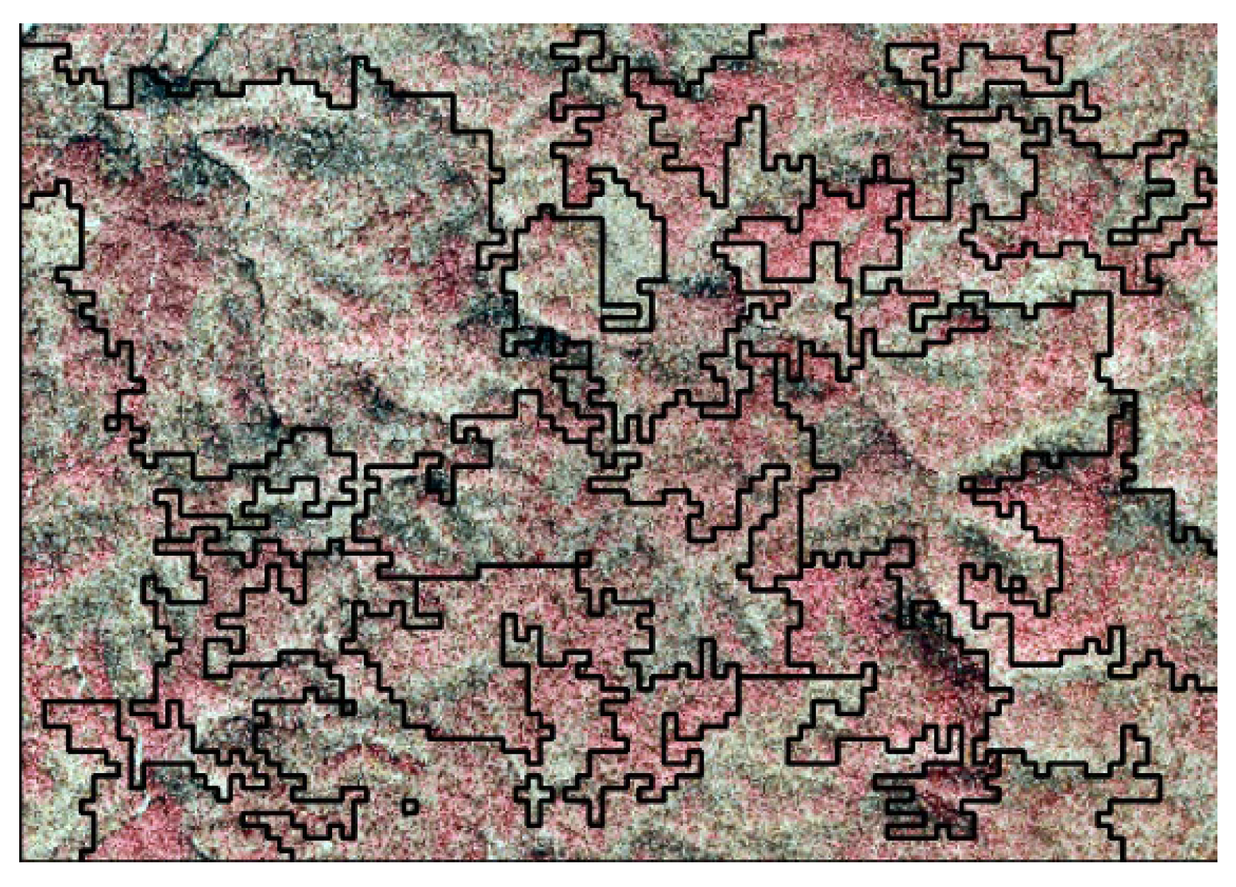 Forests 16 00666 g002