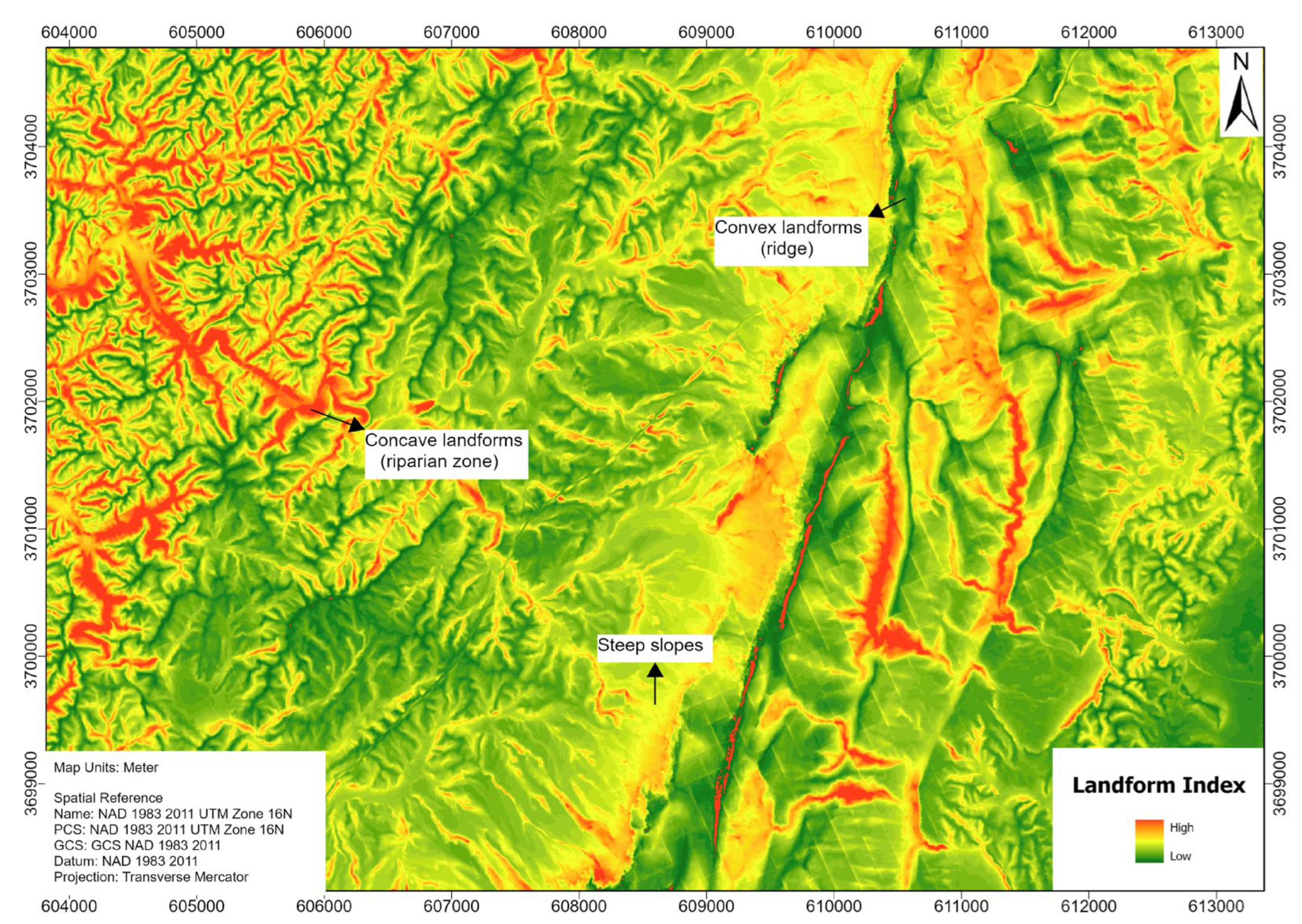 Forests 16 00666 g003