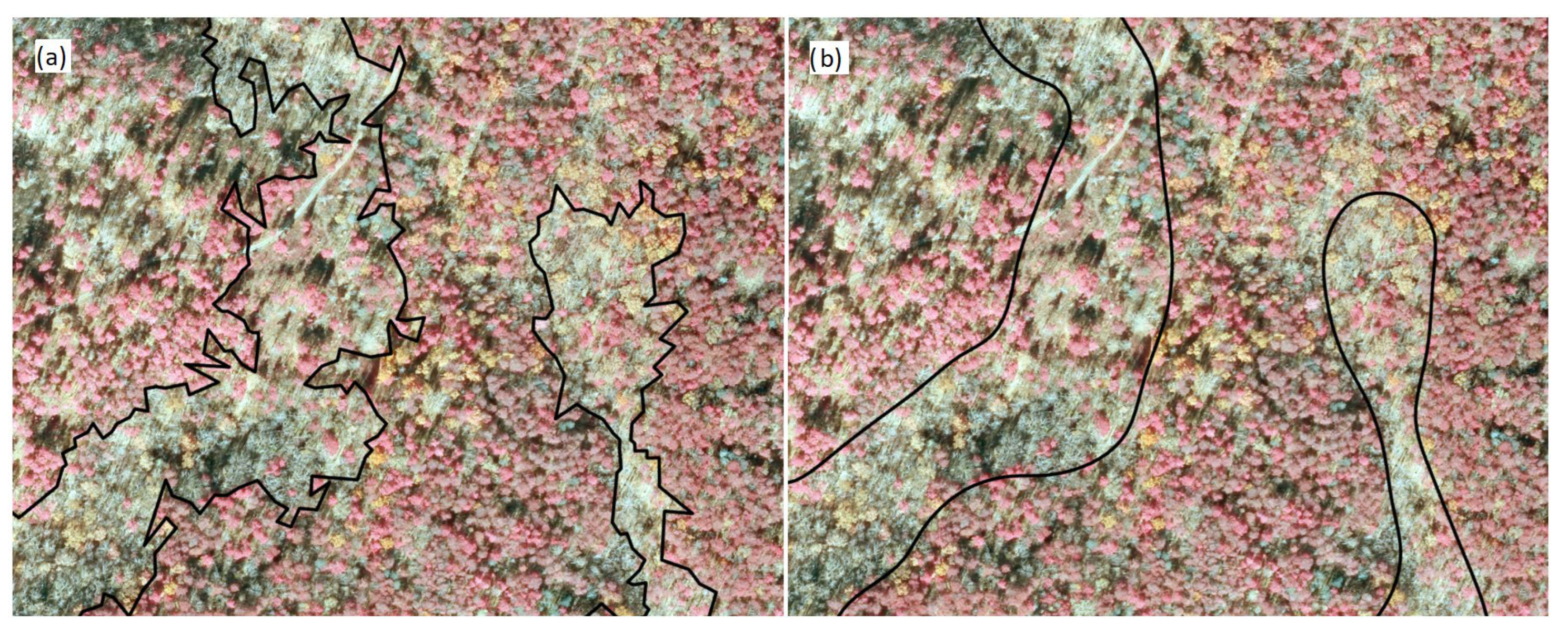 Forests 16 00666 g006