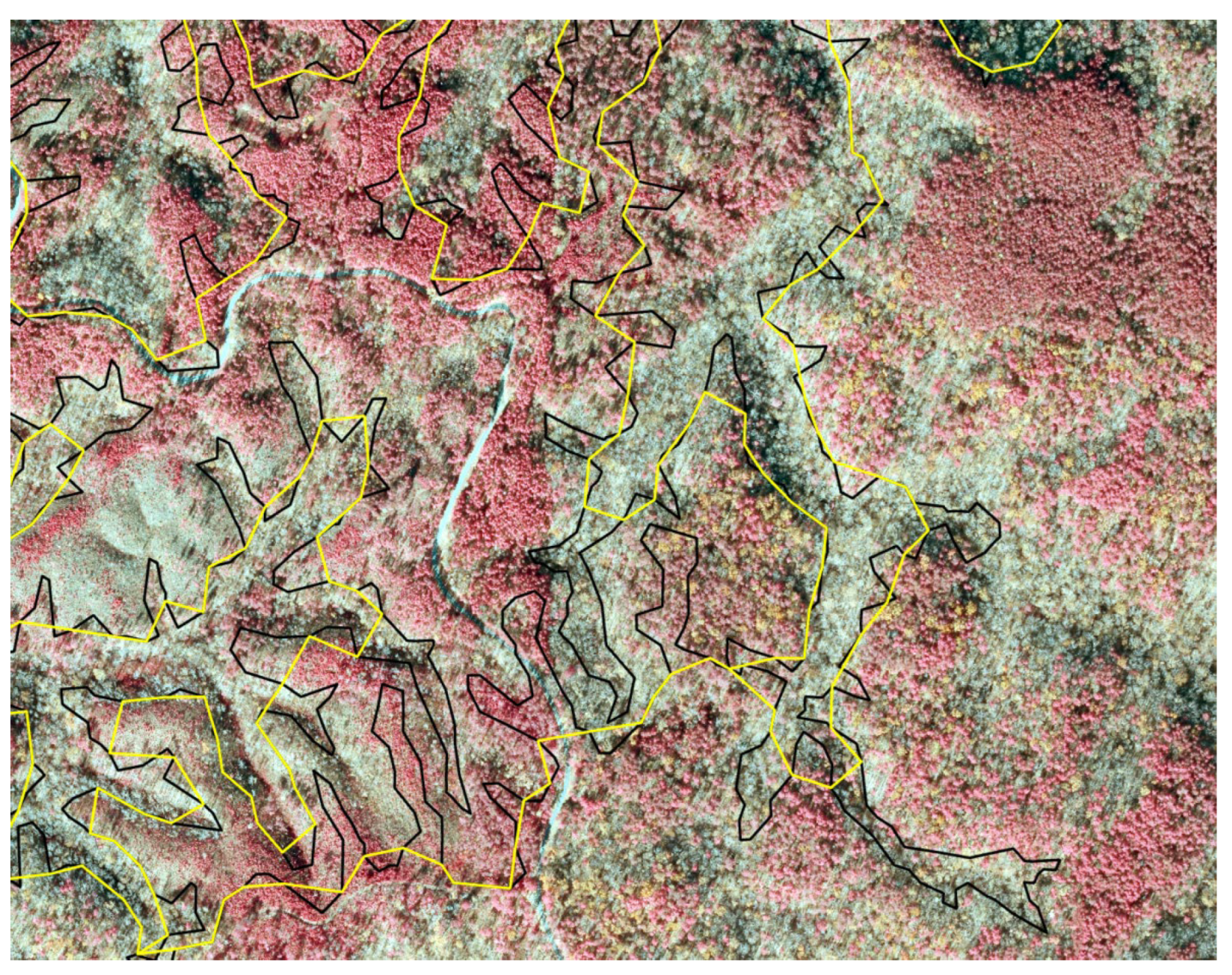 Forests 16 00666 g007