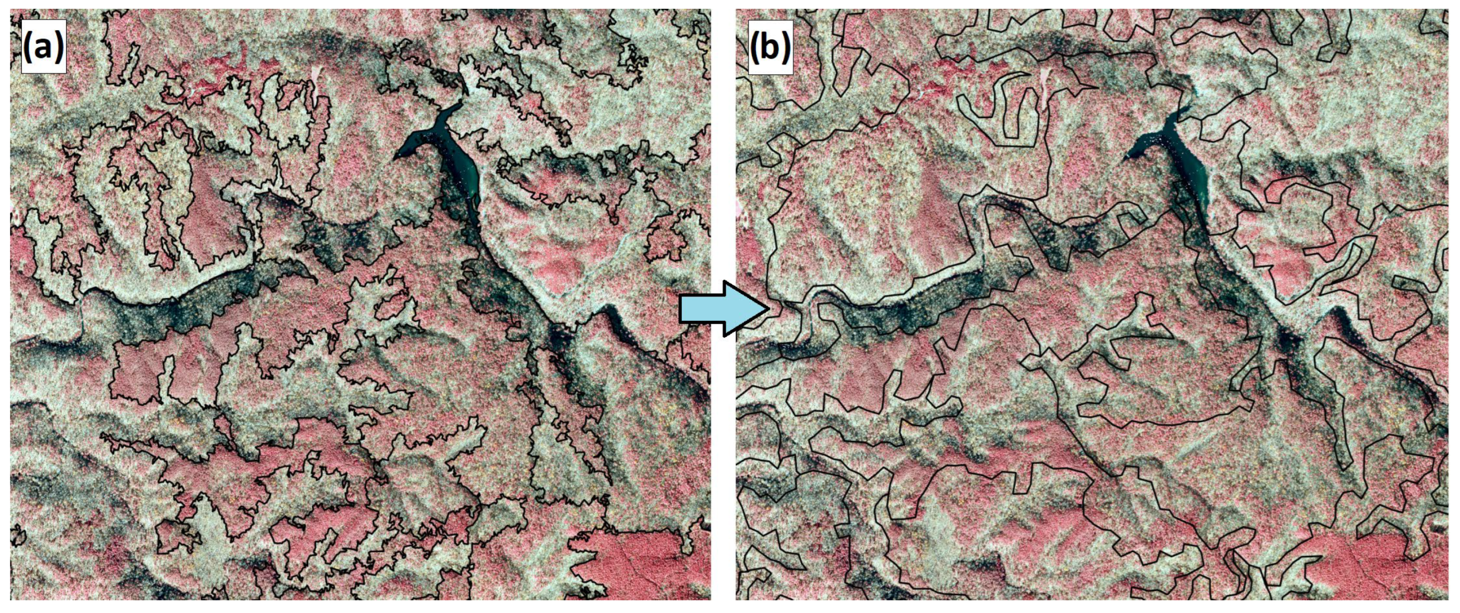 Forests 16 00666 g008
