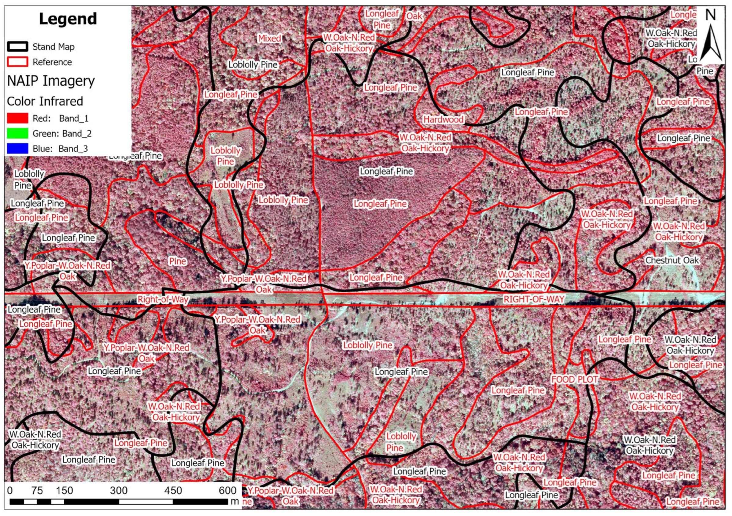 Forests 16 00666 g010