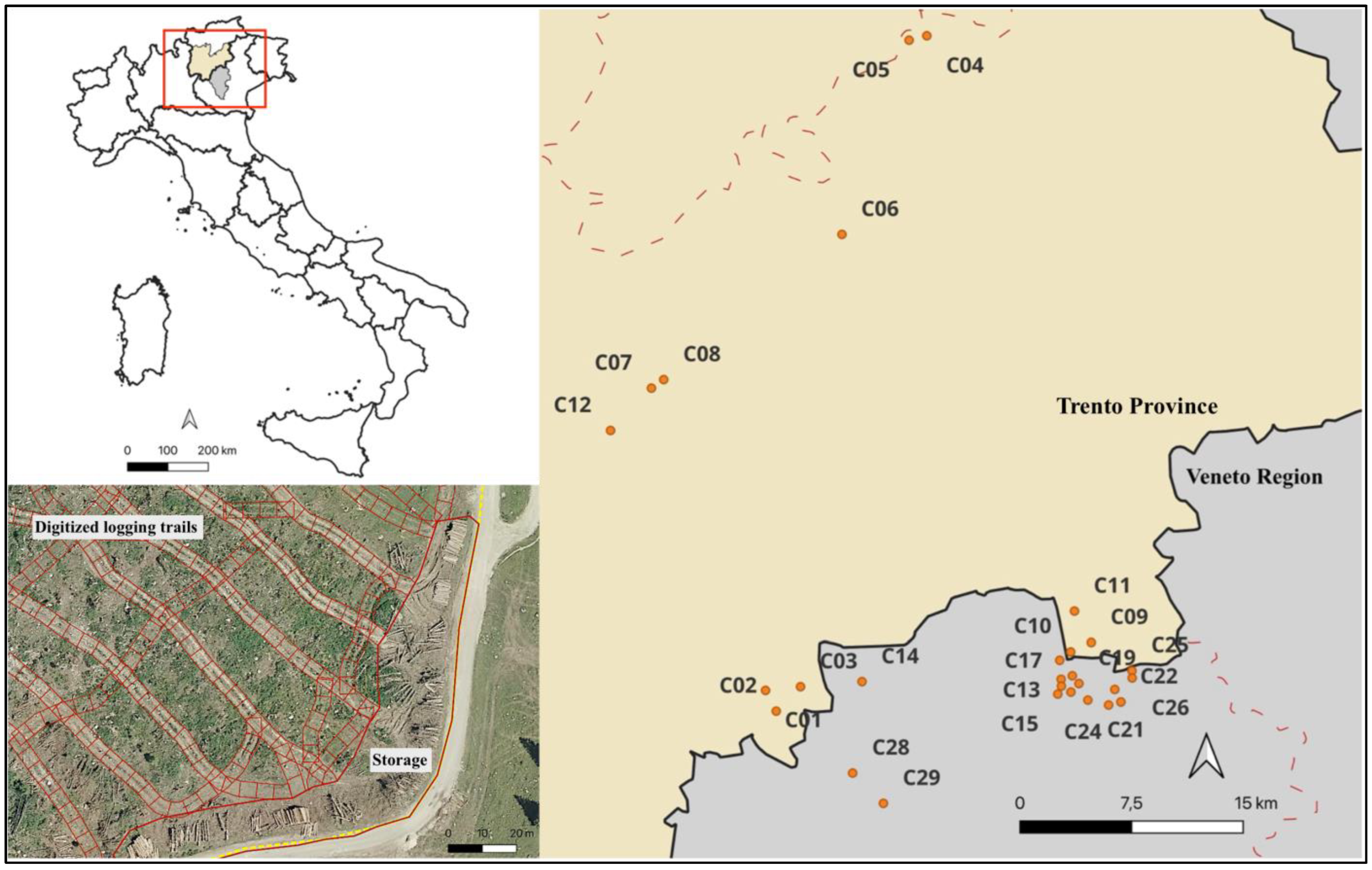 Forests 16 00673 g001