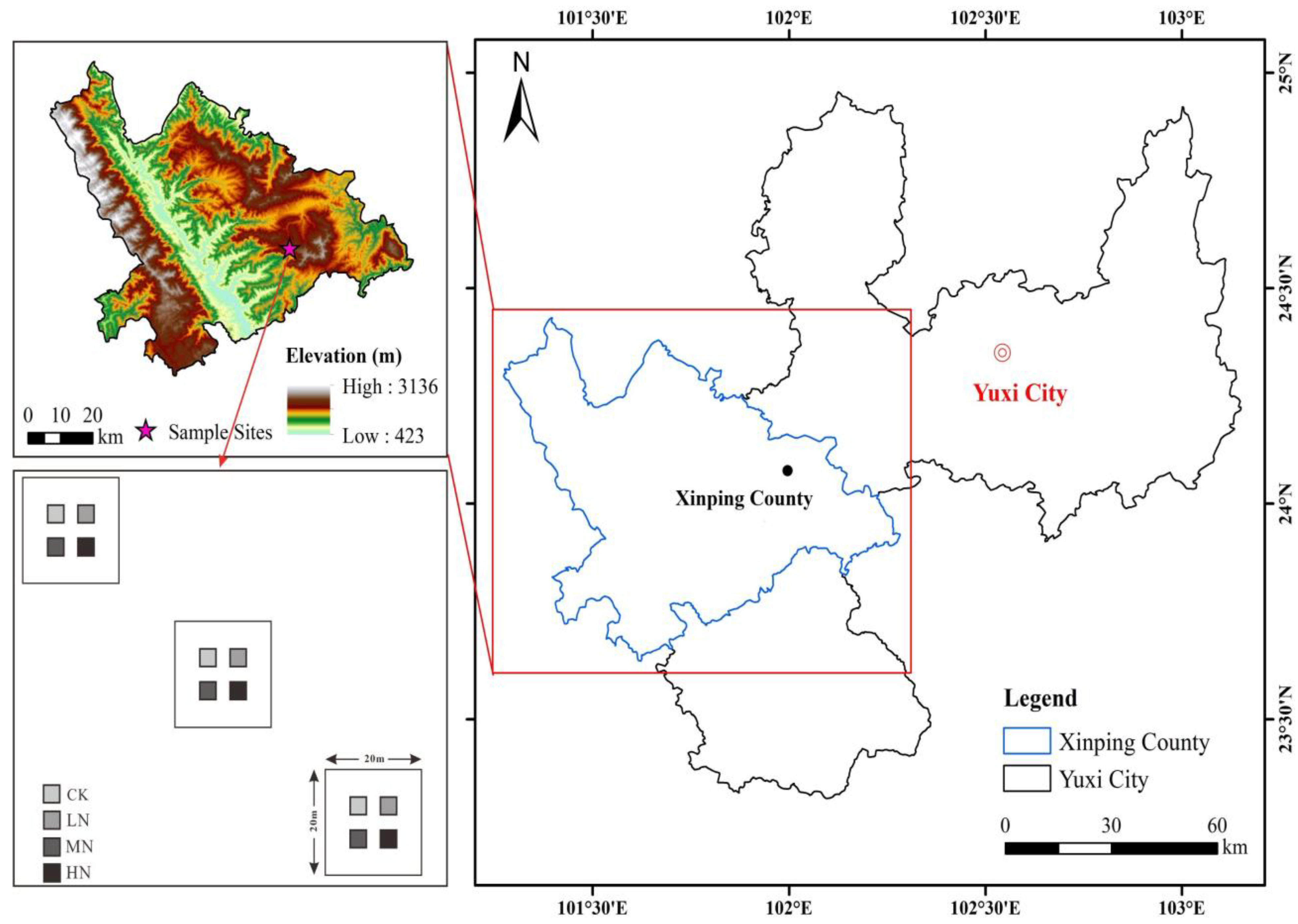 Forests 16 00684 g001
